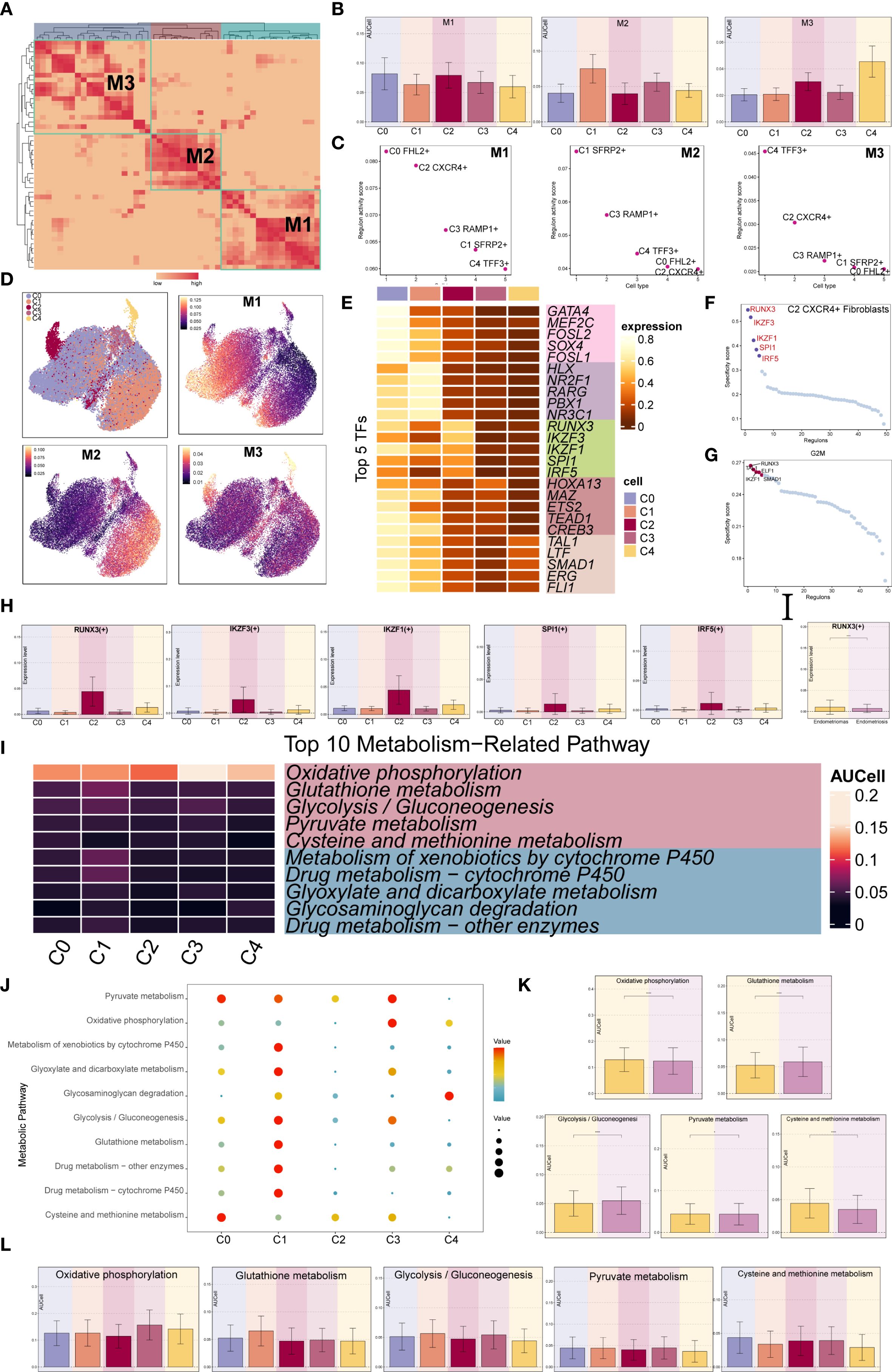 A collage of graphs and charts depicting various biological data analysis results. Panel A shows a heatmap with clusters labeled M1, M2, and M3. Panel B presents bar graphs for M1, M2, and M3, indicating different categories like C0 to C4. Panel C includes scatter plots highlighting specific genes. Panel D contains UMAP plots illustrating data distribution for M1, M2, and M3. Panel E features a heatmap of gene expression for top transcription factors. Panels F and G display survival curves. Panel H includes bar graphs for specific genes. Panels I, J, K, and L detail metabolic pathways with heatmaps and bar graphs showing activity across groups C0 to C4.
