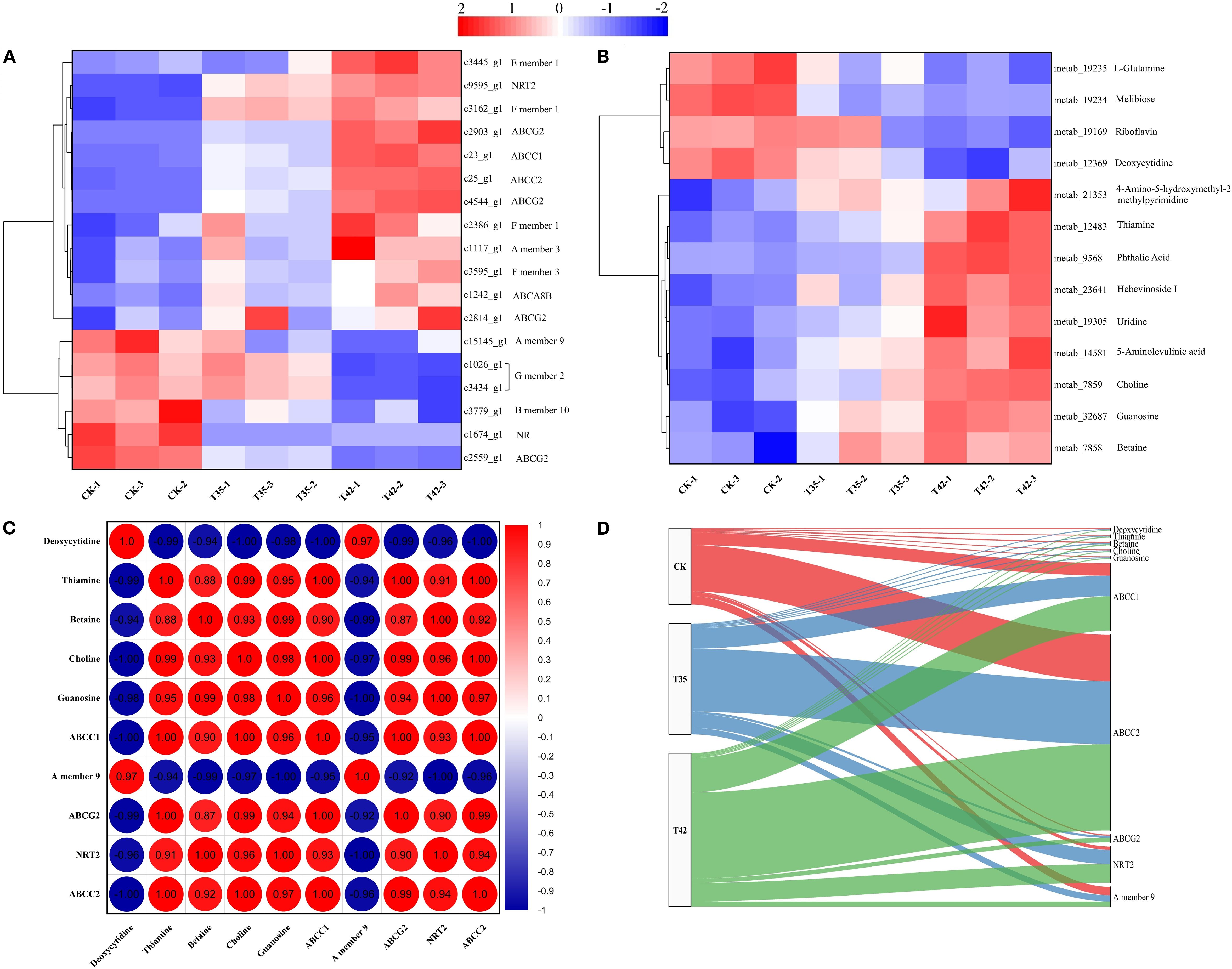 Heatmaps and diagrams analyzing biochemical data with red and blue color gradients showing variations. Sections A and B depict heatmaps of gene and metabolite interactions. Section C is a circular correlation matrix with color-coded values. Section D is a flow diagram illustrating relationships among different datasets.
