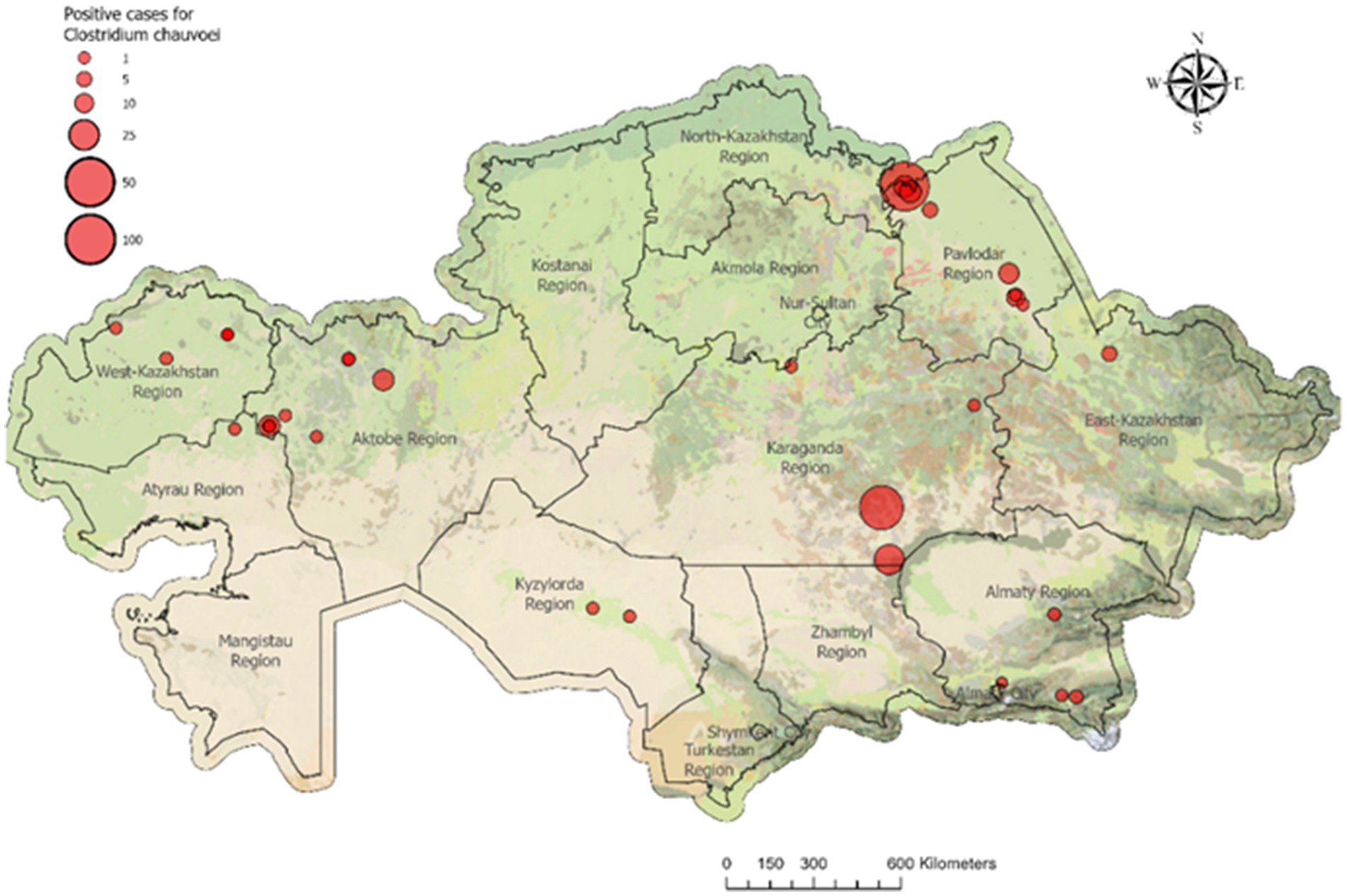 Map of Kazakhstan showing the distribution of positive cases for Clostridium chauvoei, represented by red circles of varying sizes. Regions like Pavlodar and Akmola have larger circles indicating more cases. A scale from 1 to 100 cases is included.