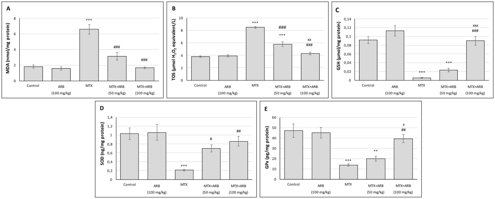 Bar charts labeled A to E compare five different groups: Control, ARB, MTX, MTX plus ARB at 50 mg/kg, and MTX plus ARB at 100 mg/kg. Each chart measures different biochemical markers: A shows MDA, B shows TOS, C shows GSH, D shows SOD, and E shows GPx. The MTX group has the highest values in charts A and B, while control shows moderate levels. Each chart includes statistical significance markers, indicating significant differences between groups.