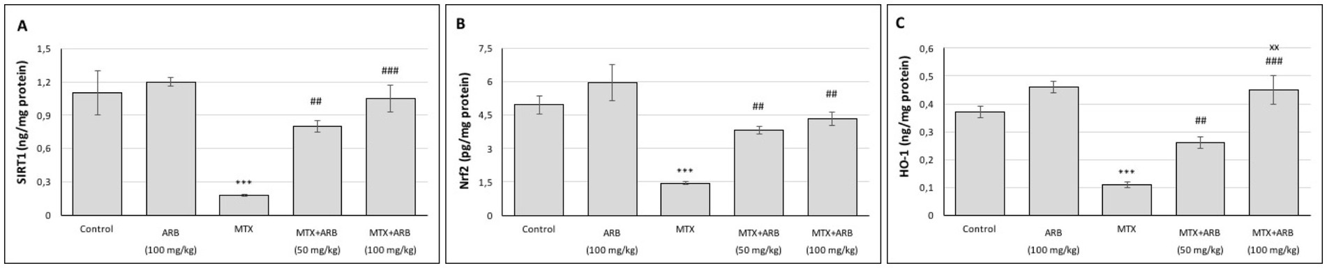 Bar charts labeled A, B, and C show the levels of SIRT1, Nrf2, and HO-1, respectively. Conditions include Control, ARB, MTX, MTX+ARB at 50 mg/kg, and MTX+ARB at 100 mg/kg. Significant differences are noted with symbols such as *** and ### on the bars.