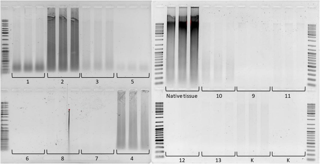 Gel electrophoresis image showing two panels with multiple lanes. The left panel has lanes labeled 1 to 8 and 3 to 5, while the right panel is labeled as