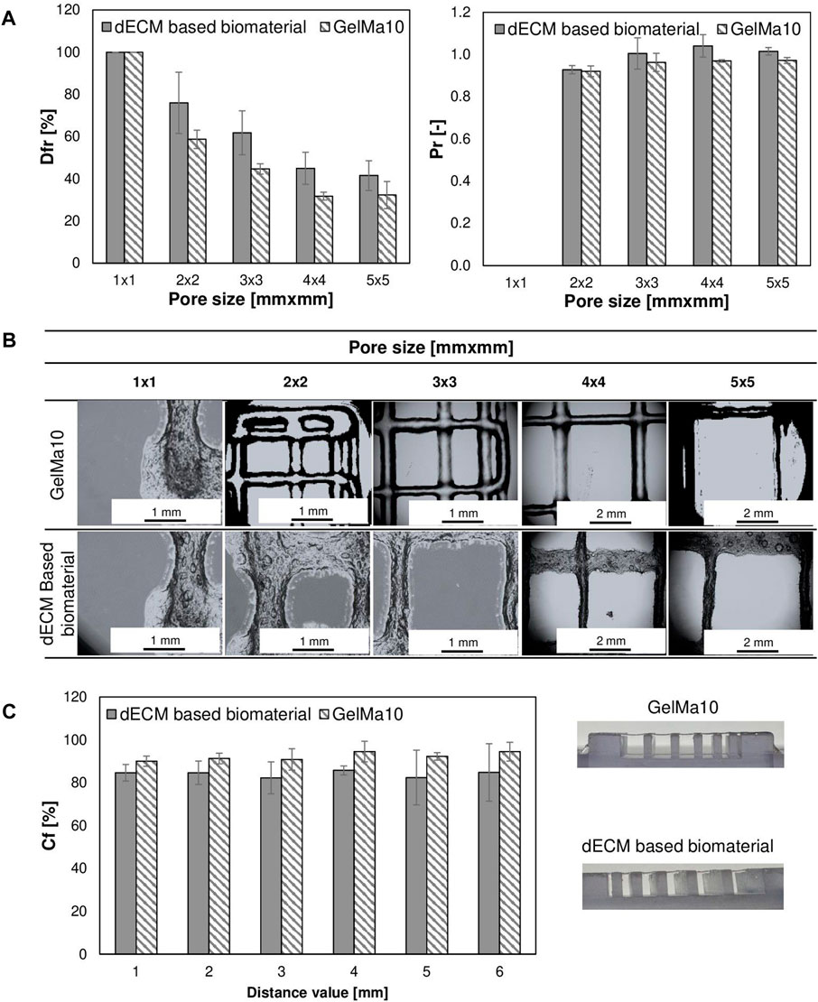Three-part figure showing data on biomaterials' pore sizes and characteristics.A. Two bar graphs indicate Dfr and Pr values for dECM-based biomaterial and GelMa10 across five pore sizes. Higher Dfr and Pr in dECM.B. Microscopic images show pore structures for GelMa10 and dECM-based biomaterial at different sizes. Scale bars included.C. Bar graph compares Ct values for both materials across six distance values. Images of cross-sections for GelMa10 and dECM-based biomaterials illustrate structural differences.