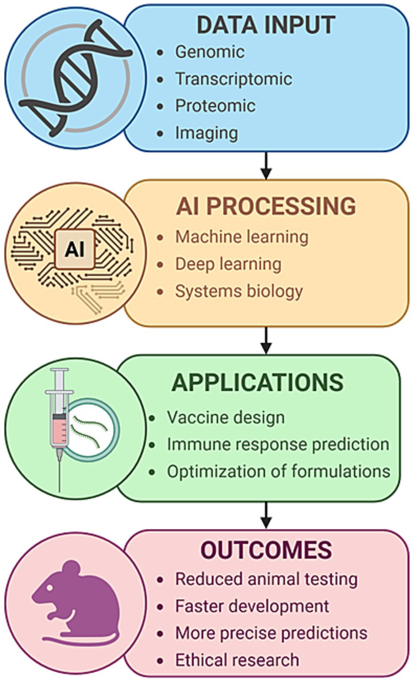 Flowchart depicting the process of data input, AI processing, applications, and outcomes. Data input includes genomic, transcriptomic, proteomic, and imaging information. AI processing involves machine learning, deep learning, and systems biology. Applications cover vaccine design, immune response prediction, and optimization of formulations. Outcomes include reduced animal testing, faster development, more precise predictions, and ethical research.