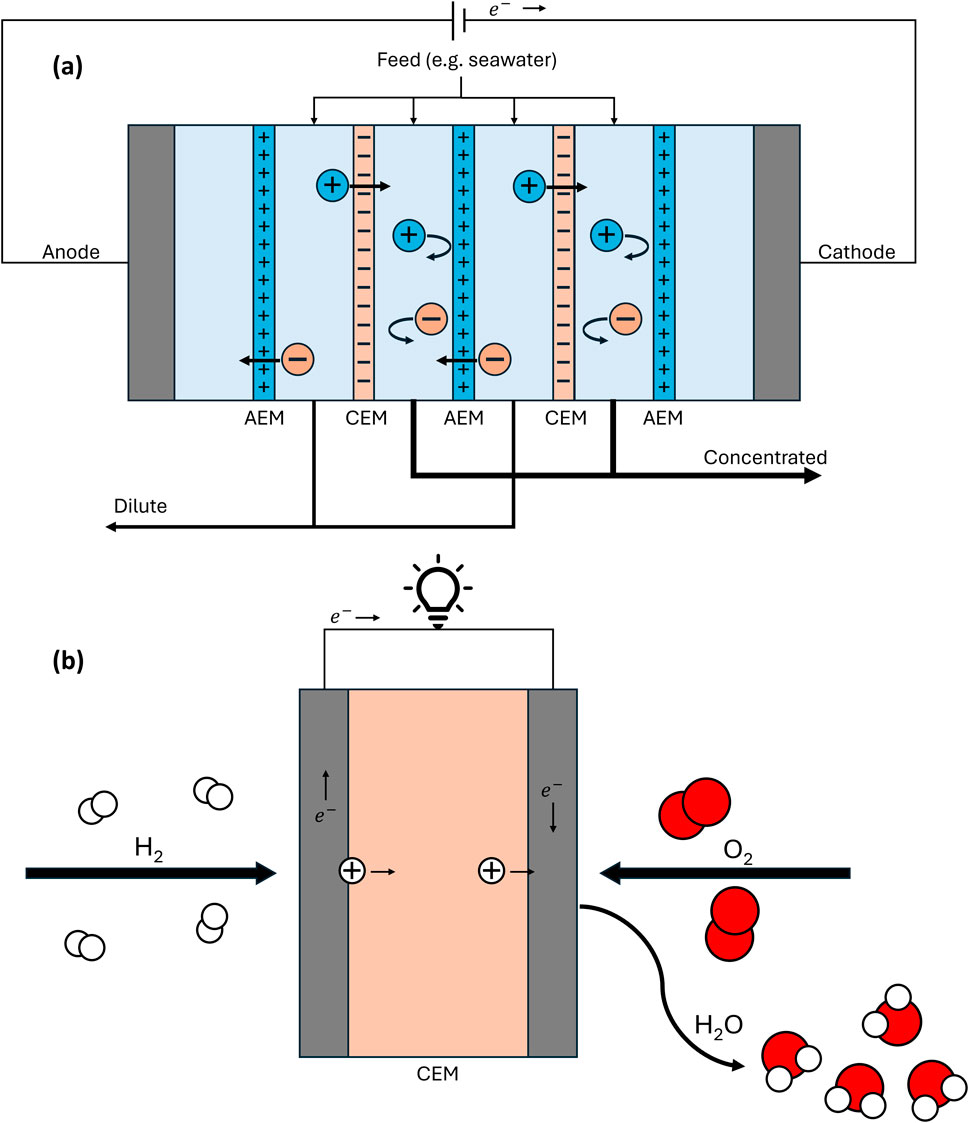 Diagram illustrating two processes: (a) Electrodialysis using alternating anion exchange membranes (AEM) and cation exchange membranes (CEM) in a seawater-fed system. Ions move between anode and cathode, creating dilute and concentrated streams. (b) Hydrogen fuel cell operation, showing hydrogen entering, electrons moving across a CEM, generating electricity, and producing water from oxygen.