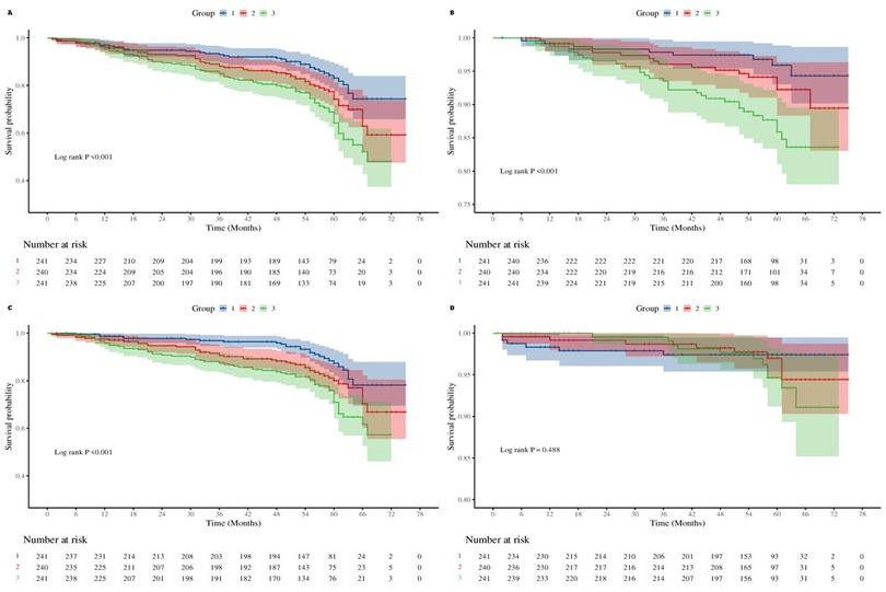 Four Kaplan-Meier survival curves labeled A, B, C, and D, plotted for groups 1, 2, and 3 over time in months. Graphs A and C show survival probabilities beginning at 1.0 and decreasing over 72 months, with significant differences (log-rank p < 0.001). Graphs B and D display survival starting at 1.0, with minimal difference in graph D (log-rank p = 0.488). Each plot includes a table below showing the number at risk at various time points. Groups are color-coded: blue for Group 1, red for Group 2, and green for Group 3.