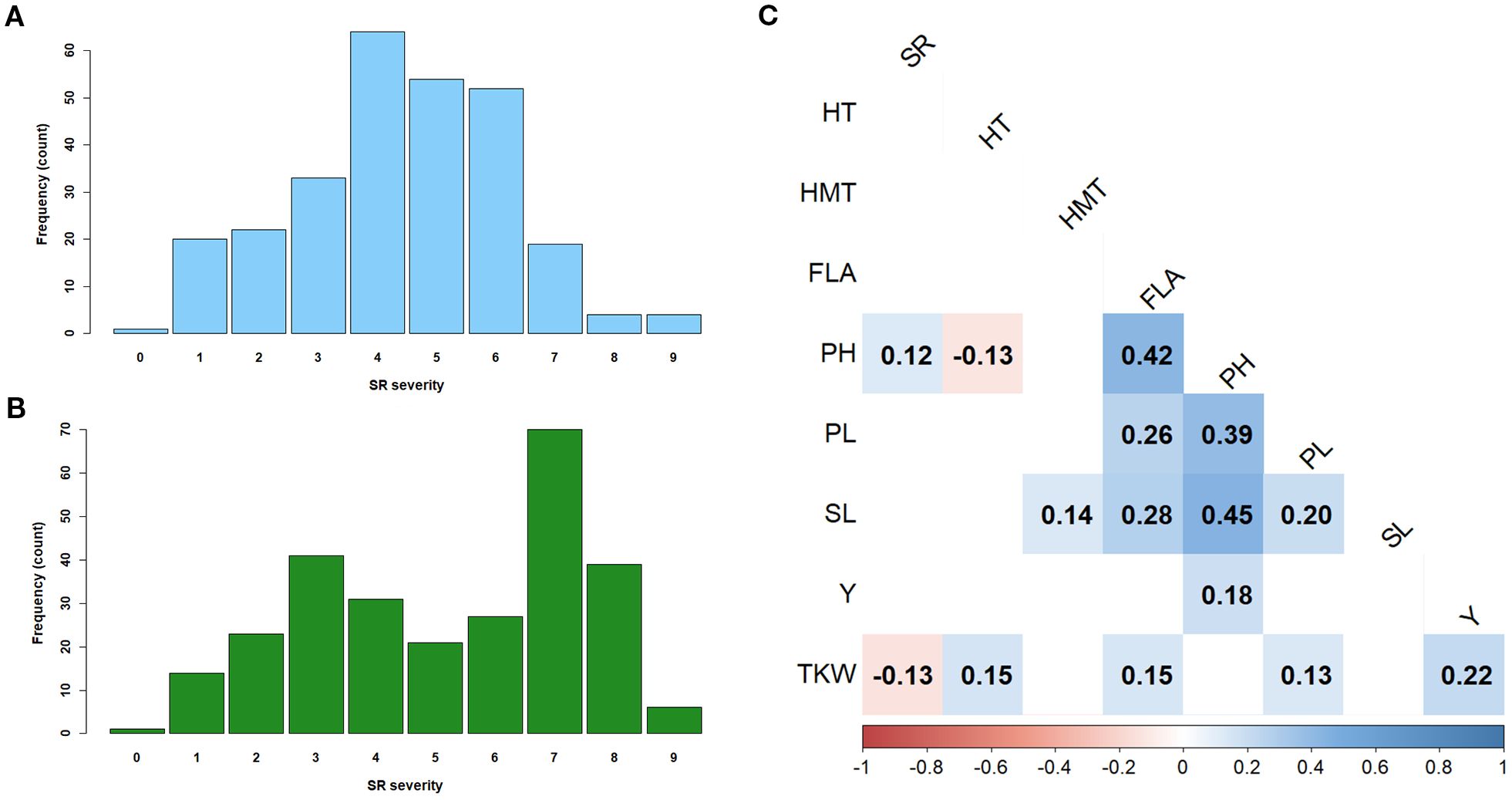 Three-panel image including: A) a blue histogram showing frequency distribution of SR severity in KRIAPG with a peak at 4; B) a green histogram showing a similar distribution in RIBSP peaking at 6; C) a heatmap with numerical correlations among various traits like SR, HT, and others, ranging from -1 to 1, with positive and negative values indicated by blue and red shades, respectively.