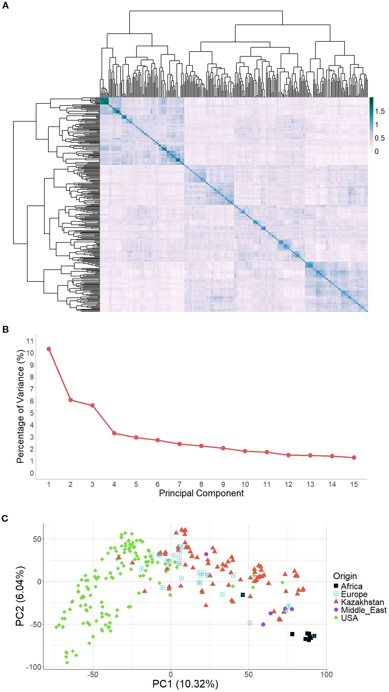 Panel A shows a hierarchical clustering heatmap with color gradients indicating similarity between barley accessions, and dendrograms on top and left. Panel B is a scree plot depicting variance percentages across 15 principal components with a red line graph. Panel C is a scatter plot illustrating PCA results, where colored shapes represent geographic origins: Africa (black squares), Europe (blue squares), Kazakhstan (pink triangles), Middle East (red triangles), and USA (green diamonds).