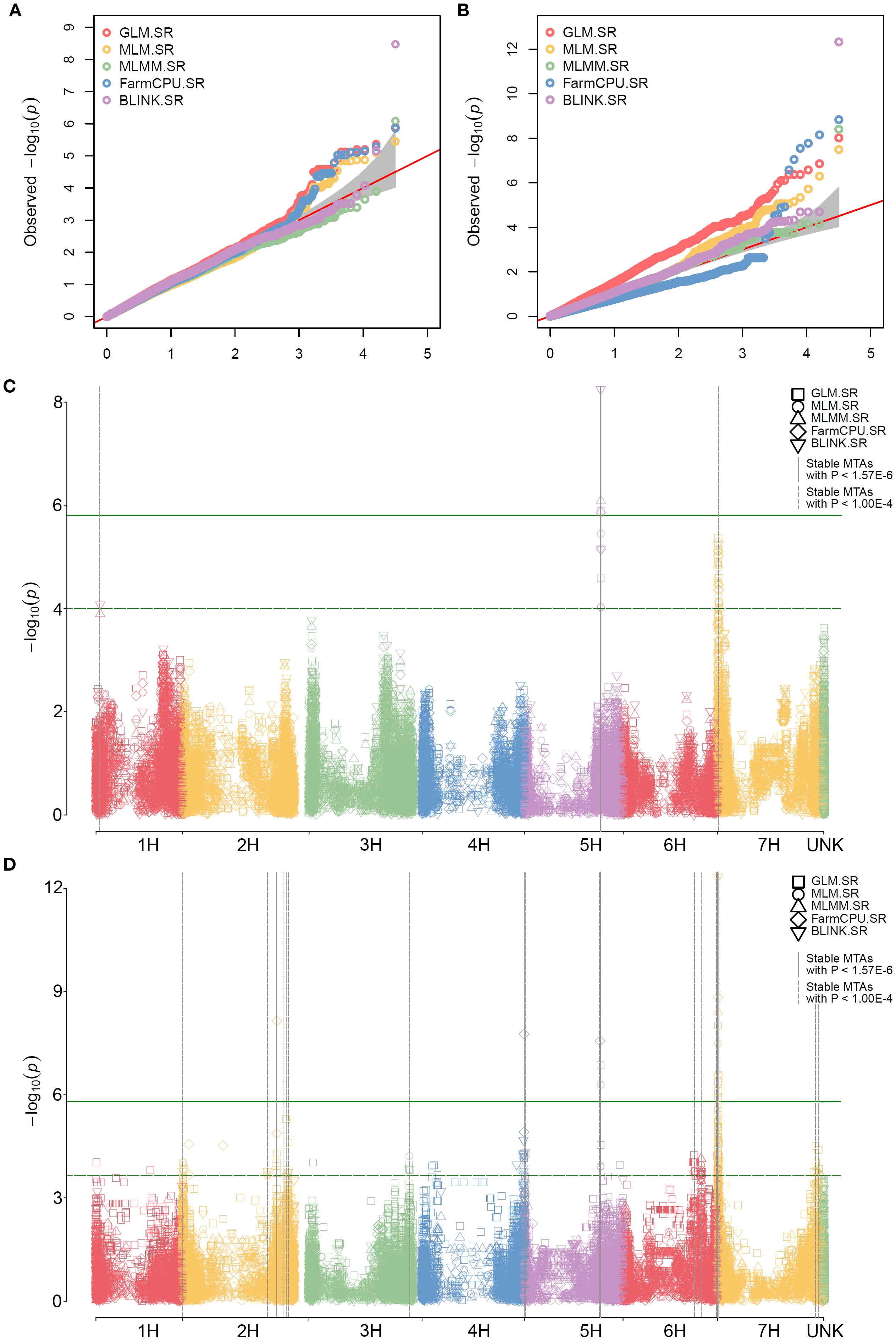 Comparison of statistical methods using QQ plots and Manhattan plots. Panels A and B show QQ plots with observed versus expected p-values for different methods: GLM, MLM, MLMM, FarmCPU, and BLINK in KRIAPG and RIBSP, respectively. Panels C and D are Manhattan plots displaying the -log10 p-values across different chromosomes (1H to 7H and UNK), indicating significant associations in KRIAPG and RIBSP, respectively.