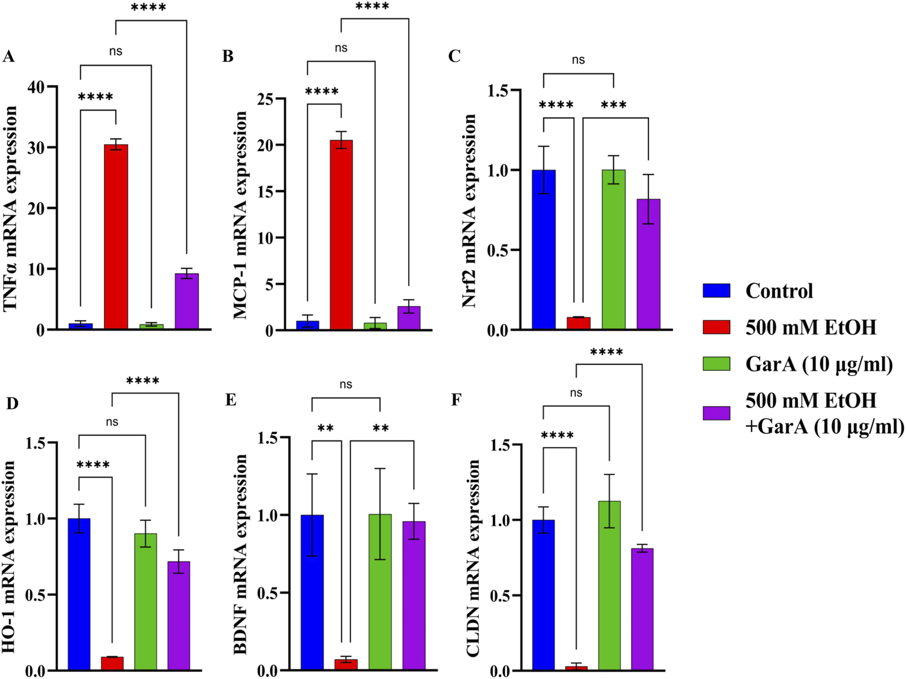 Bar graphs labeled A to F show the effect of treatments on mRNA expression levels for various genes: TNFα, MCP-1, Nrf2, HO-1, BDNF, and CLDN. Treatments include control, 500 mM ethanol, GarA (10 μg/mL), and 500 mM ethanol with GarA. Significant differences are noted by asterisks, indicating statistical significance levels. The legend identifies each treatment with its corresponding color.