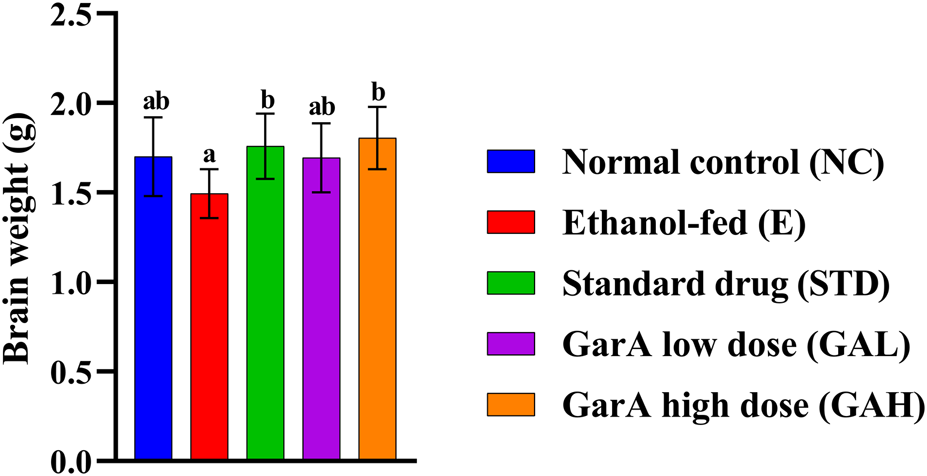 Bar chart comparing brain weights across five groups: Normal control (blue), Ethanol-fed (red), Standard drug (green), GarA low dose (purple), and GarA high dose (orange). Weights range from 1.5 to about 2.1 grams. Error bars indicate variability. Bars labeled with “a”, “b” and “ab”.