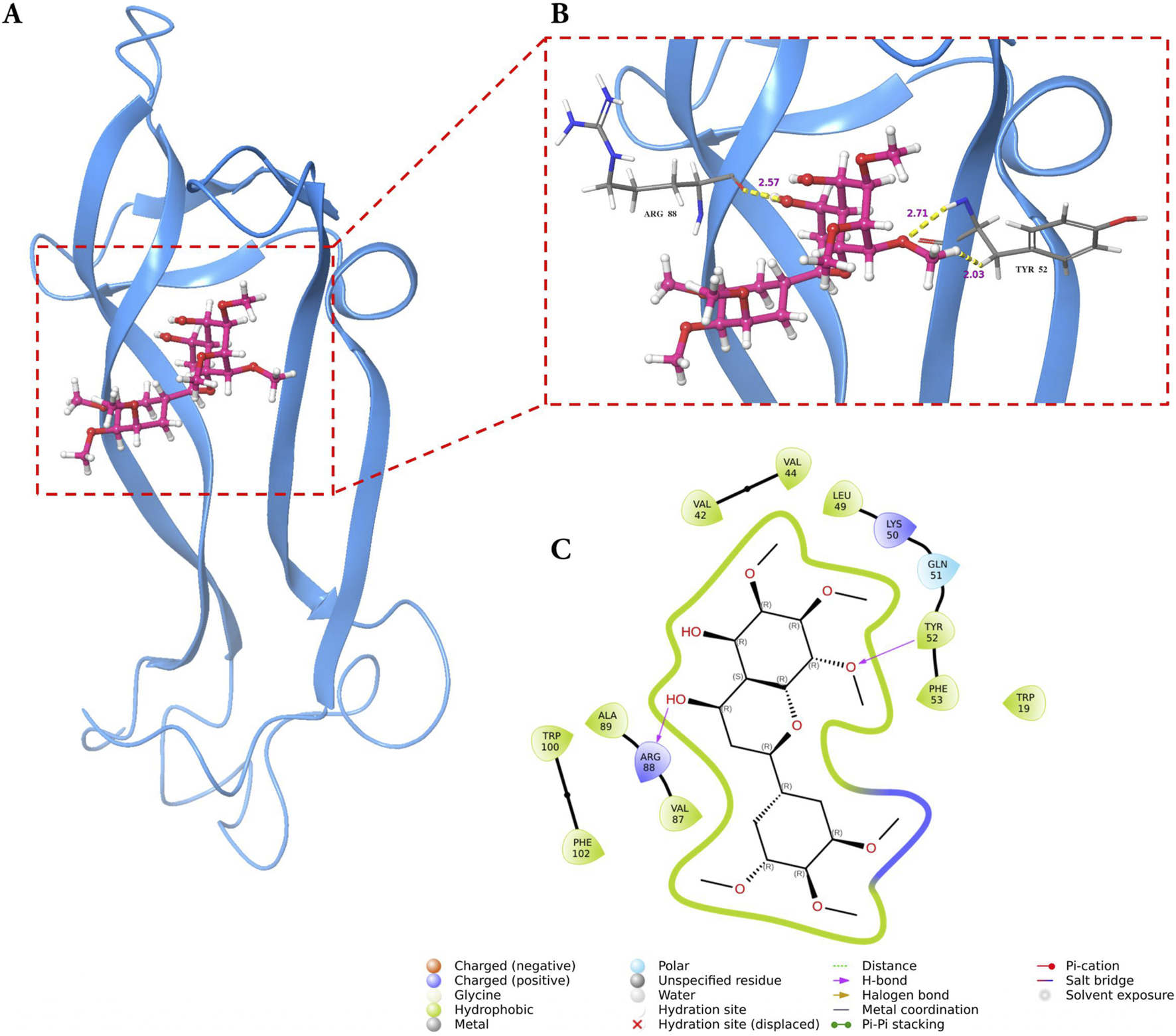A molecular visualization with three panels. A shows BDNF protein structure in blue with a ligand in pink. B is a zoomed-in view, highlighting interactions between the ligand and the protein, including distances in angstroms between specific atoms. C is a schematic of ligand interaction, showing various residues and interaction types like hydrogen bonds and hydrophobic interactions, with color-coded symbols for different residues and bond types.