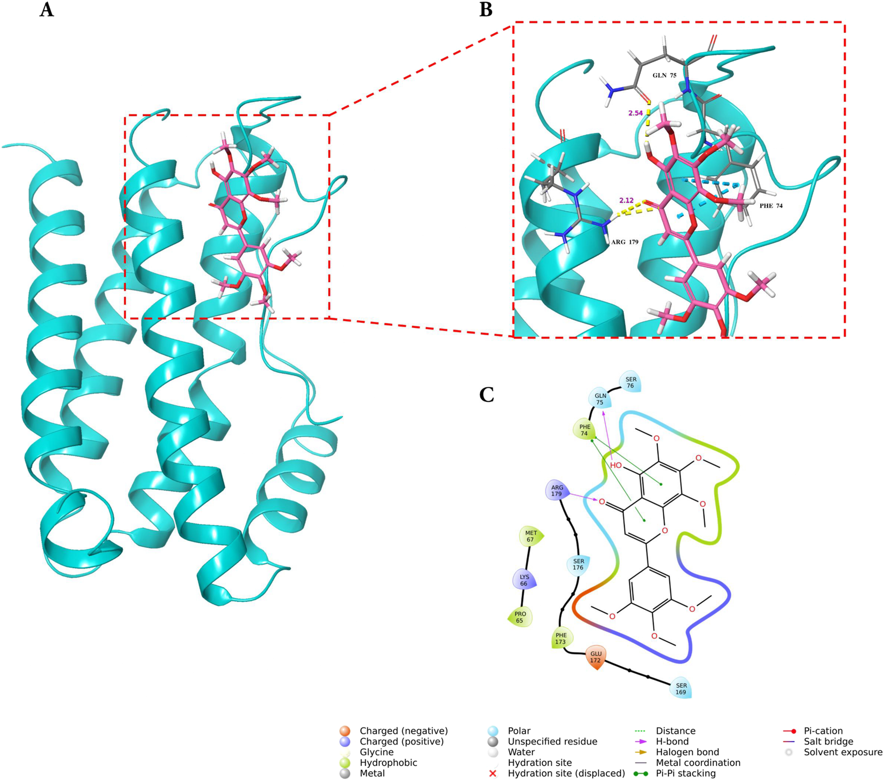 Molecular structure of a protein interaction. Image A shows a helical IL6 structure in cyan with a pink ligand. Image B zooms in on the interaction, highlighting hydrogen bonds and proximity measurements. Image C provides a 2D diagram with colored indicators for different interactions, including hydrogen bonds, hydrophobic contacts, and a pi-pi stacking interaction between specific amino acids and the ligand. A legend identifies these interactions with different color codes.