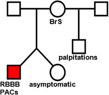 Pedigree chart depicting genetic traits with symbols. The chart includes circles and squares, representing individuals with labels: