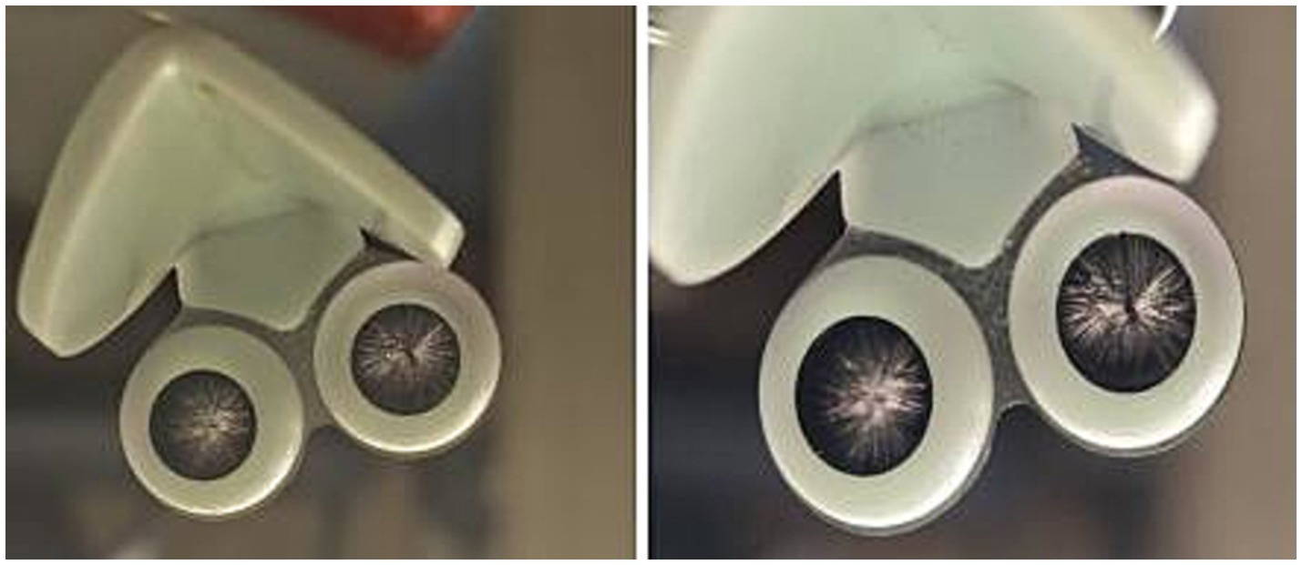 Close-up images of two white plastic binocular tubes with a dark inner lens. The lens appears to have a radial pattern resembling a splash or starburst. Both images show a similar composition from slightly different angles.
