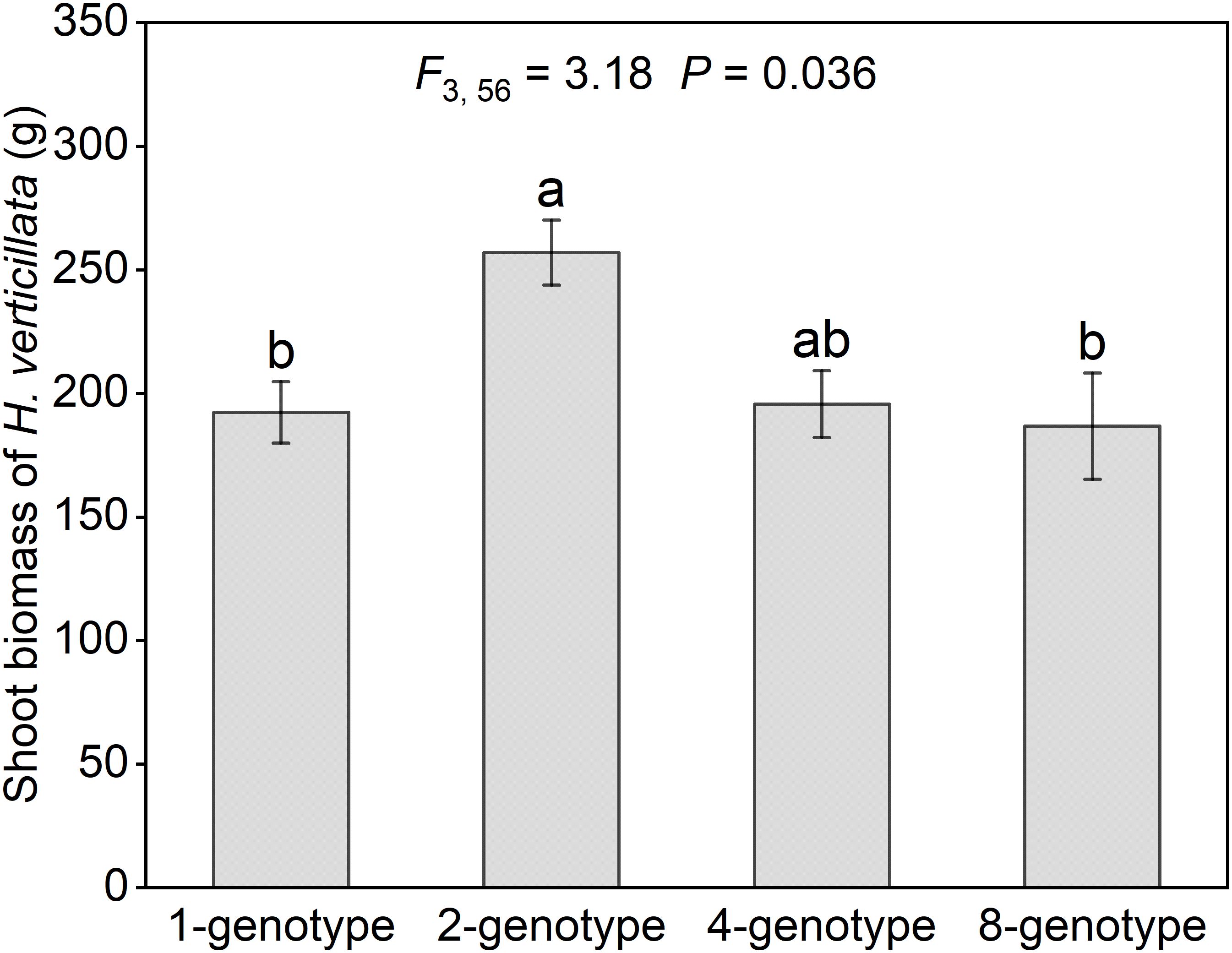 Bar graph showing the shoot biomass of Hydrocotyle verticillata across four genotypes: 1, 2, 4, and 8. The biomass ranges from approximately 200 to 270 grams. The highest biomass is in the 2-genotype group, labeled “a,” while 1-genotype and 8-genotype groups are labeled “b.” The 4-genotype group is labeled “ab.” Statistical values are F(3,56) = 3.18 and P = 0.036.