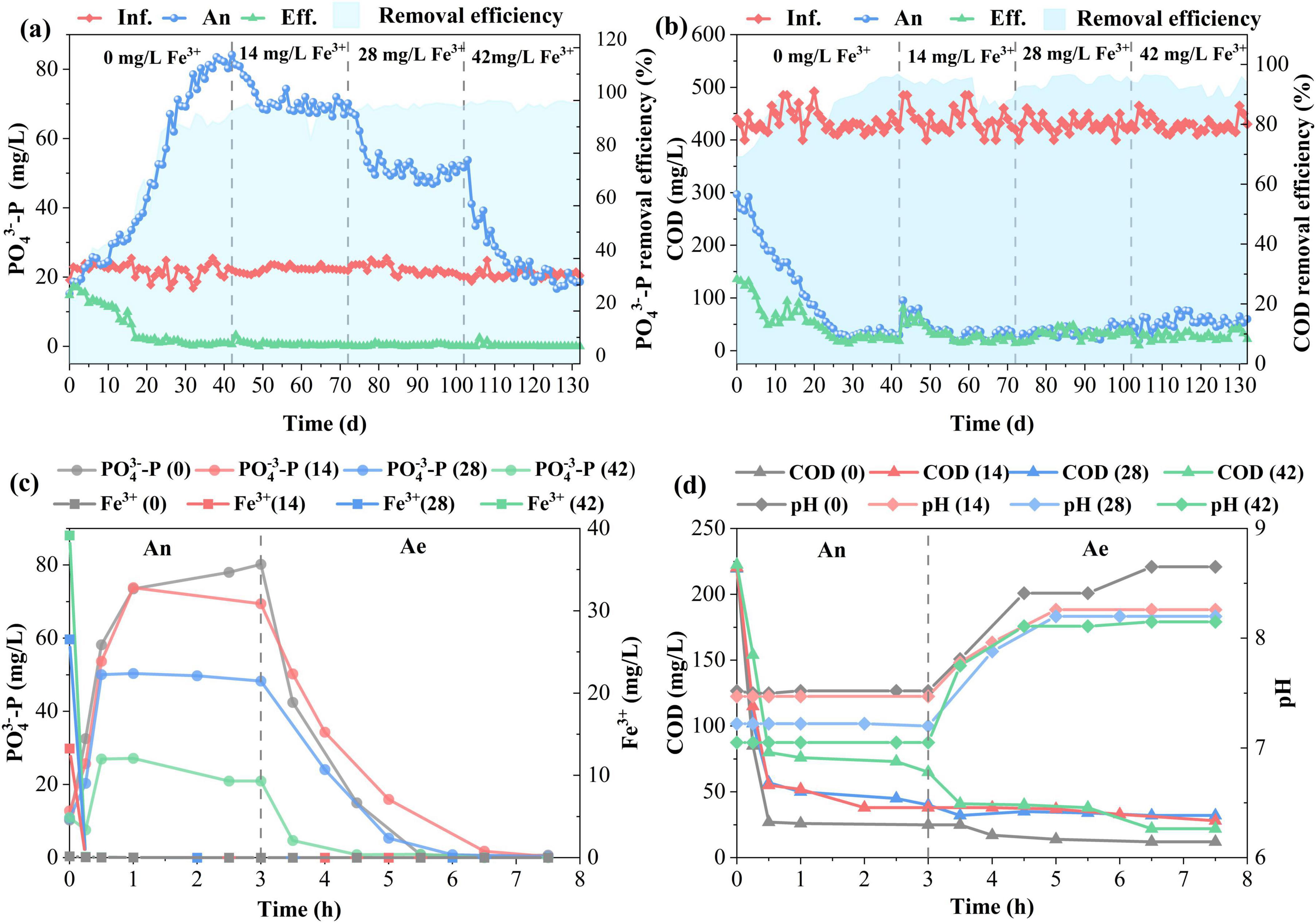 “Four charts analyzing phosphate (PO43−) and chemical oxygen demand (COD) removal efficiency over time, with varying Fe3+ concentrations: (a) Shows PO43− concentration and removal efficiency over 130 days. (b) Depicts COD concentration and removal efficiency over the same period. (c) Displays the effect of different Fe3+ doses on PO43− concentration in a 7-hour period. (d) Illustrates changes in COD, Fe3+ concentration, and pH over 7 hours.”