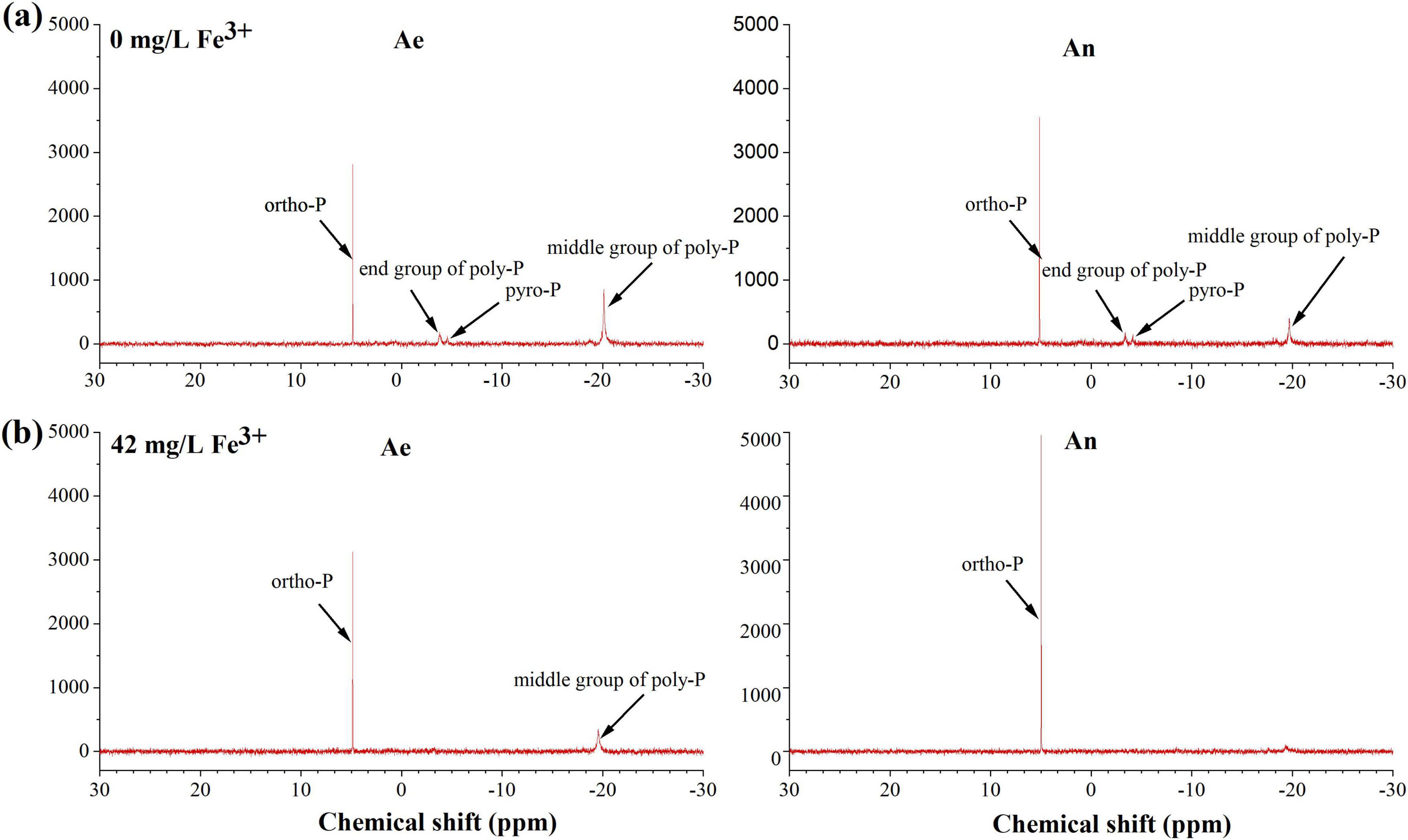 Four NMR spectra are shown, labeled (a) and (b) with Ae and An columns. (a) represents 0 mg/L Fe3+, (b) represents 42 mg/L Fe3+. Peaks are labeled for ortho-P, end group of poly-P, middle group of poly-P, and pyro-P across chemical shifts ranging from 30 to -30 ppm.