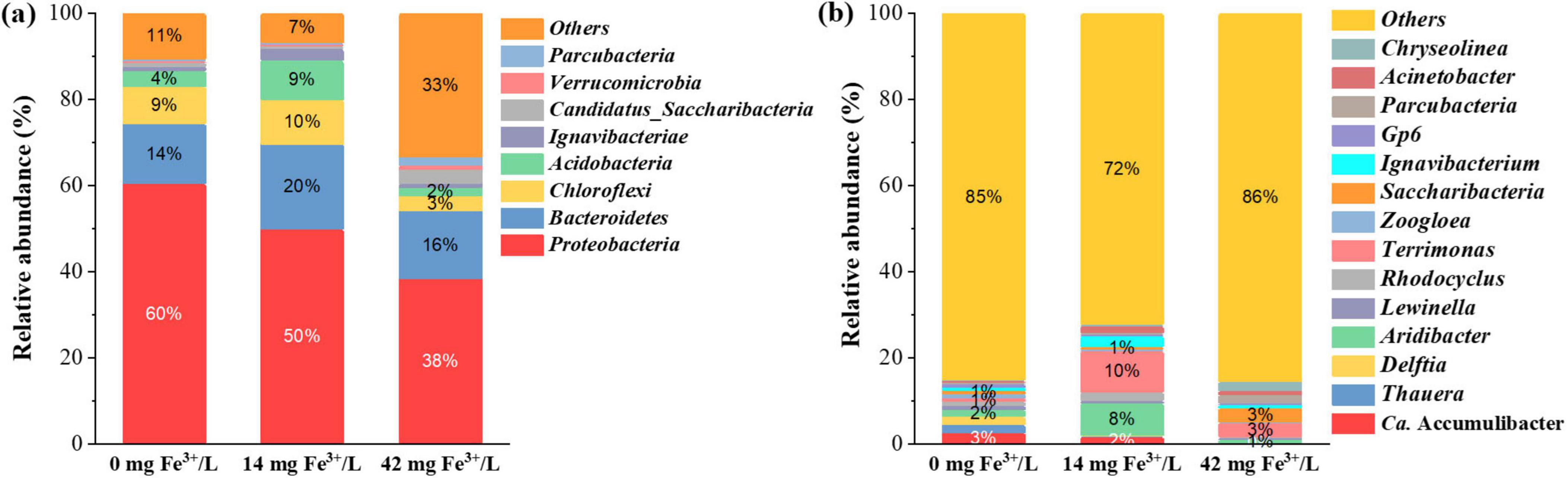 Bar charts showing the relative abundance of different bacterial groups with varying concentrations of Fe3+/L: 0, 14, and 42 mg. Chart (a) highlights groups like Proteobacteria and Acidobacteria. Chart (b) details others including Chryseolinea and Acinetobacter. Abundance percentages shift with increased iron concentration.