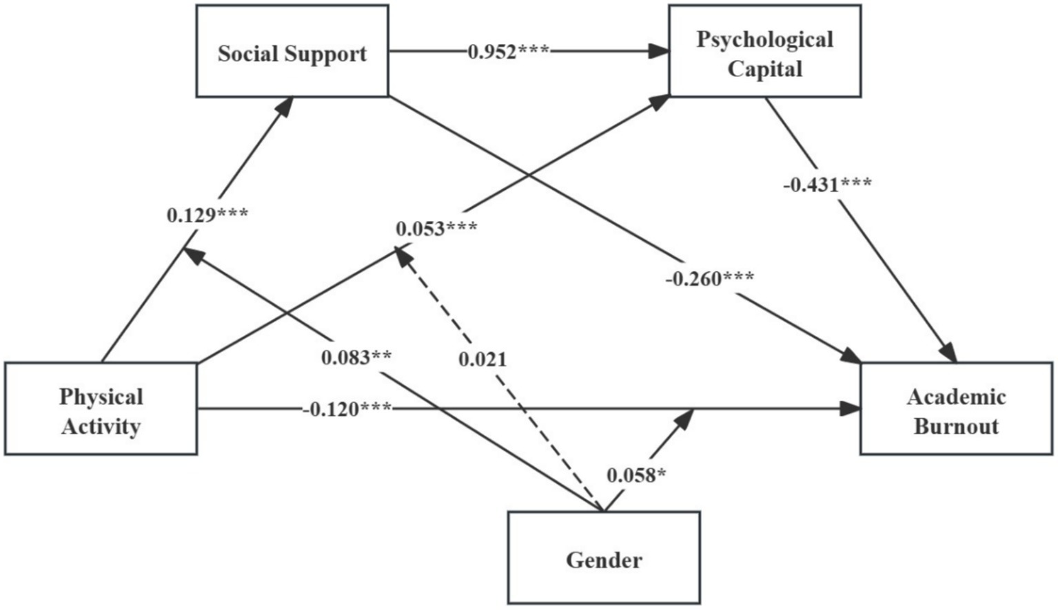 The diagram presents the associations among physical activity, social support, psychological capital, academic burnout, and gender. Arrows represent the direction and strength of standardized paths. Physical activity shows associations with social support (0.129*), psychological capital (0.083), and academic burnout (−0.120*). Social support is linked to psychological capital (0.952), which is further related to academic burnout (−0.431). Gender moderates the relationships between physical activity and social support (0.053), psychological capital (0.021, nonsignificant), and academic burnout (0.058). Solid lines indicate significant paths, while dashed lines represent nonsignificant relationships.