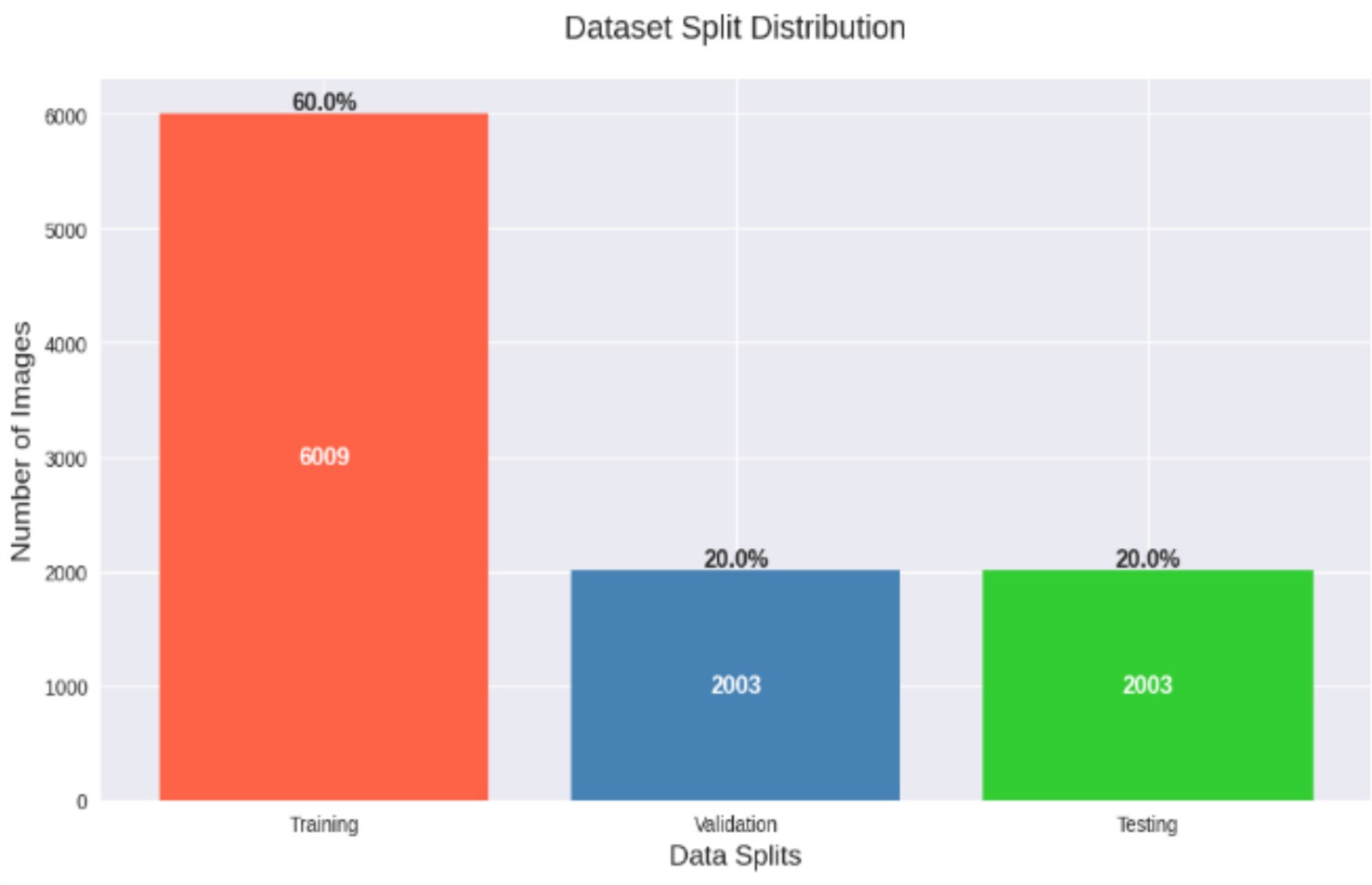 Bar chart showing dataset split distribution. Training comprises 60% with 6,009 images, while validation and testing each comprise 20%, with 2,003 images each. The y-axis represents the number of images.