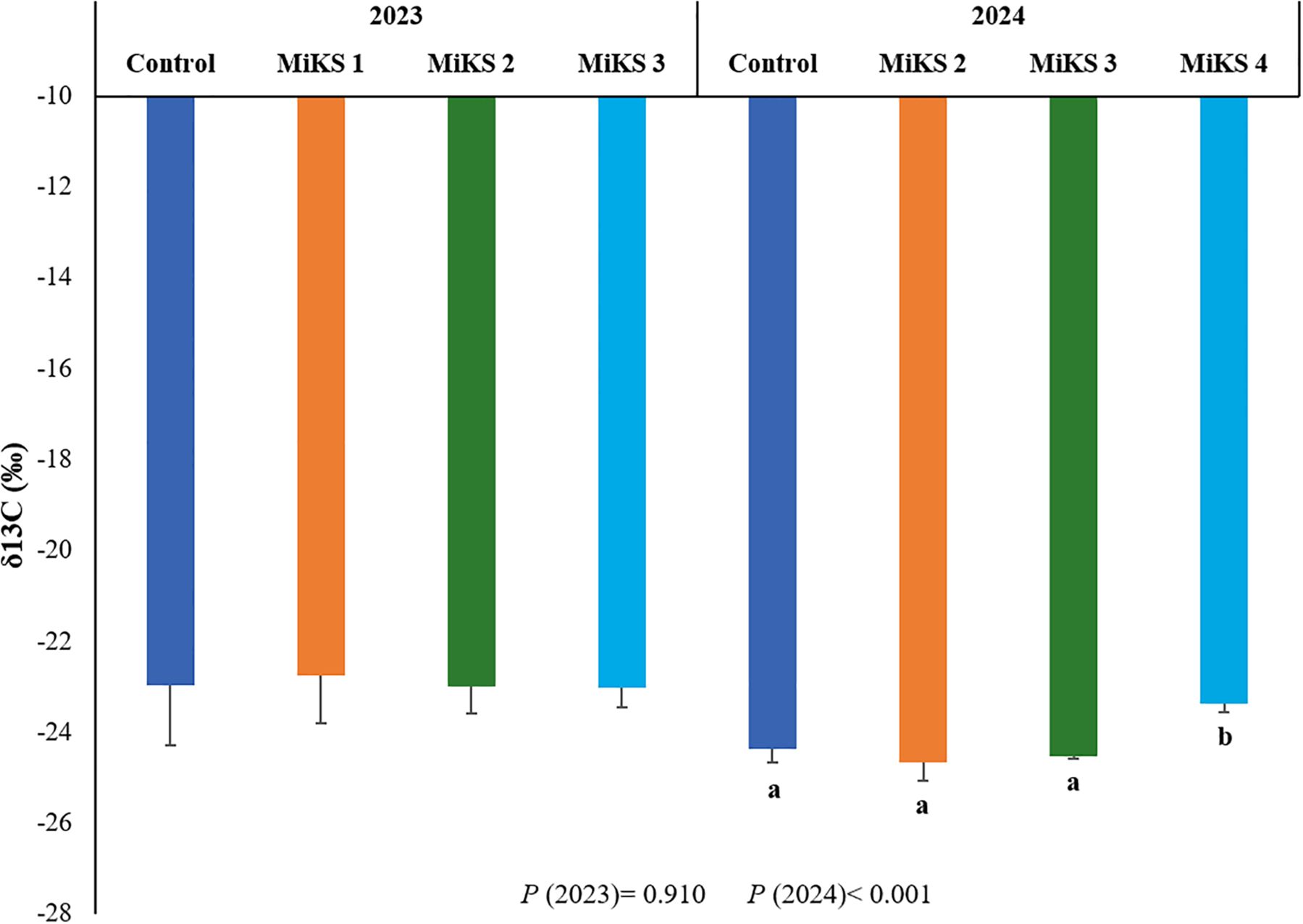 Bar chart comparing δ13C percentage across different treatments for 2023 and 2024. Each year has separate control and MiKS treatments. The 2024 data shows significant differences, indicated by labels a and b, with P-value less than 0.001.