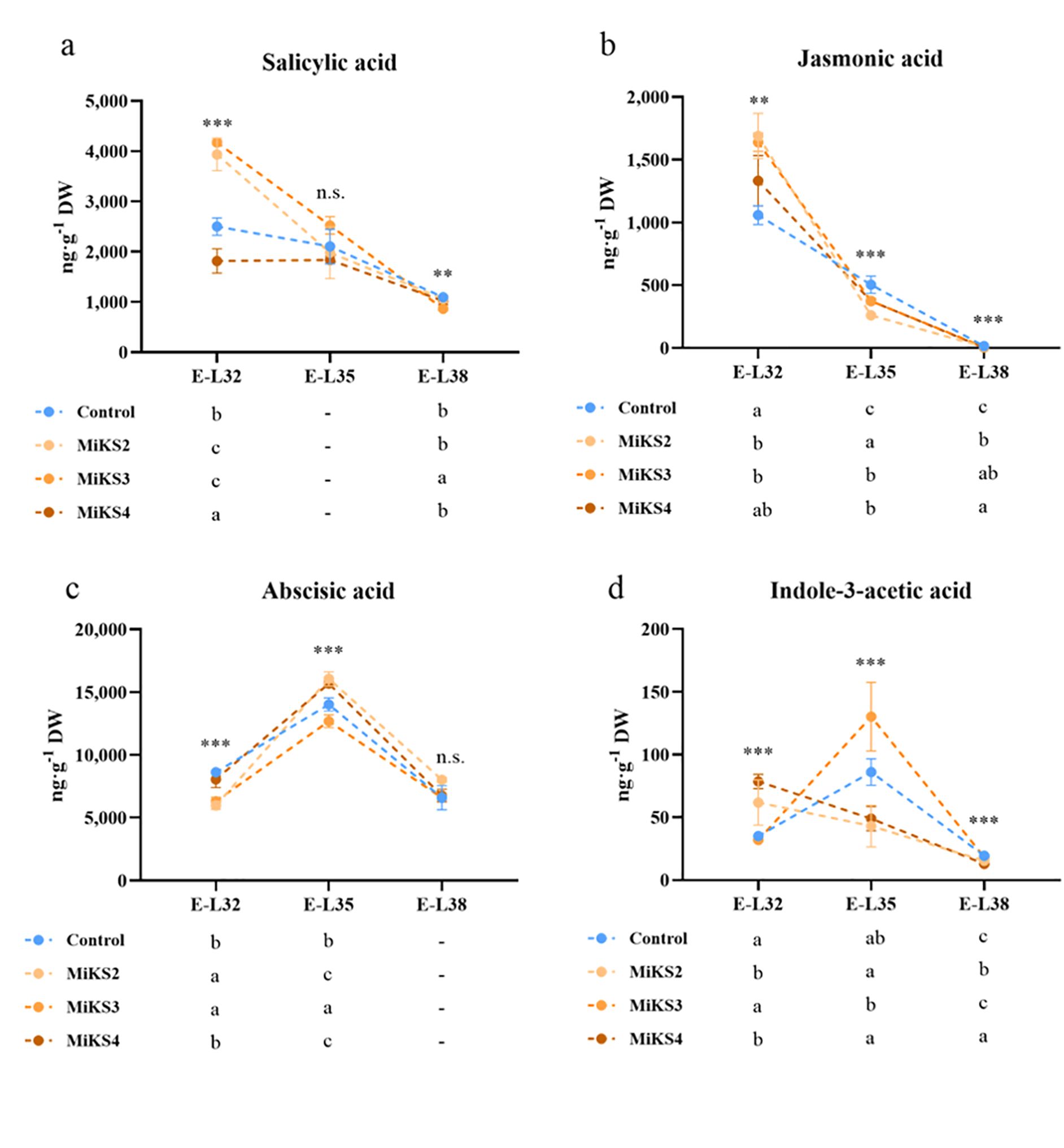 Four line graphs showing changes in hormone levels across stages E-L32, E-L35, and E-L38 for different treatments: Control, MiKS2, MiKS3, and MiKS4. (a) Salicylic acid decreases overall, with notable reductions at E-L35. (b) Jasmonic acid shows a significant decrease by E-L38. (c) Abscisic acid peaks at E-L35, then declines. (d) Indole-3-acetic acid peaks at E-L35 before decreasing. Data points are marked with statistical significance indicators and connected by dashed lines for each treatment.
