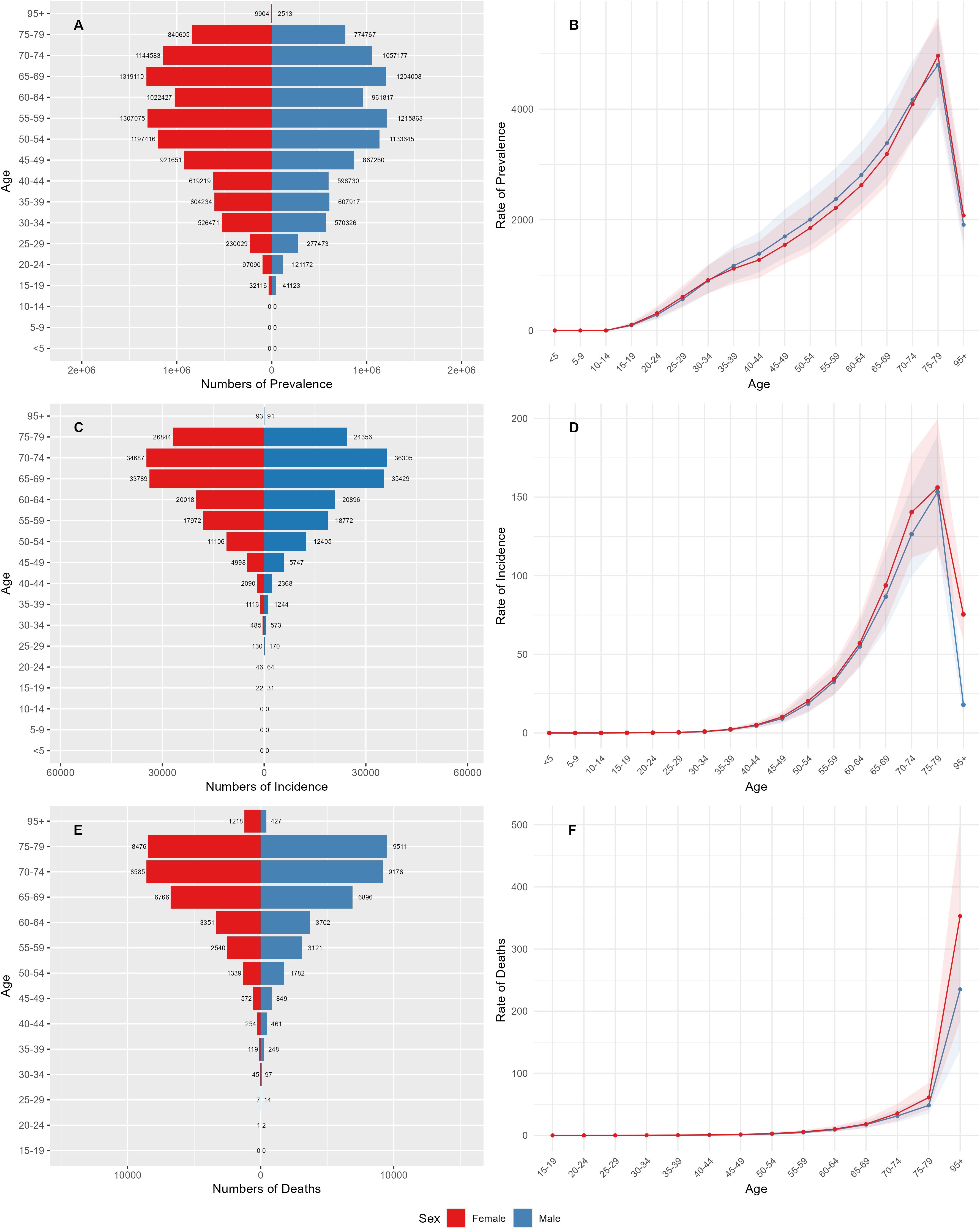 Bar and line charts showing age-related data for prevalence, incidence, and deaths divided by gender. Charts A, C, and E represent numbers of prevalence, incidence, and deaths, respectively, by age group, with red for females and blue for males. Charts B, D, and F display rates of prevalence, incidence, and deaths, respectively, over age, with corresponding color trends and shaded confidence intervals.