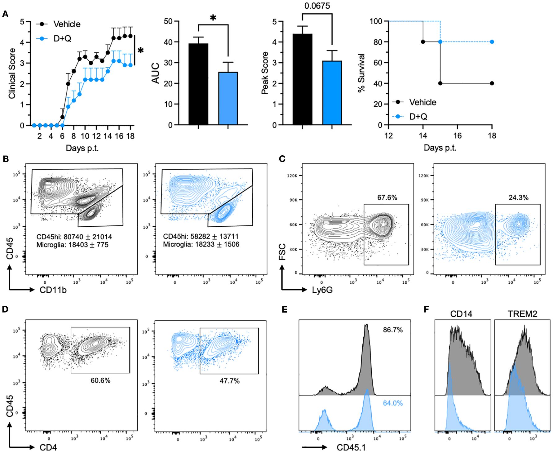 Graphs and flow cytometry plots display the effects of vehicle versus D+Q treatment. Panel A includes a line graph showing clinical scores over time, bar graphs of AUC and peak score, and a survival plot. Panels B, C, and D provide flow cytometry plots showing CD45 vs. CD11b and CD45 vs. CD4 cell distributions, with percentages noted. Panel E shows a histogram of CD45.1 expression levels. Panel F includes histograms of CD14 and TREM2 expressions. The treatment group shows decreased scores and different cell population distributions compared to the vehicle group.