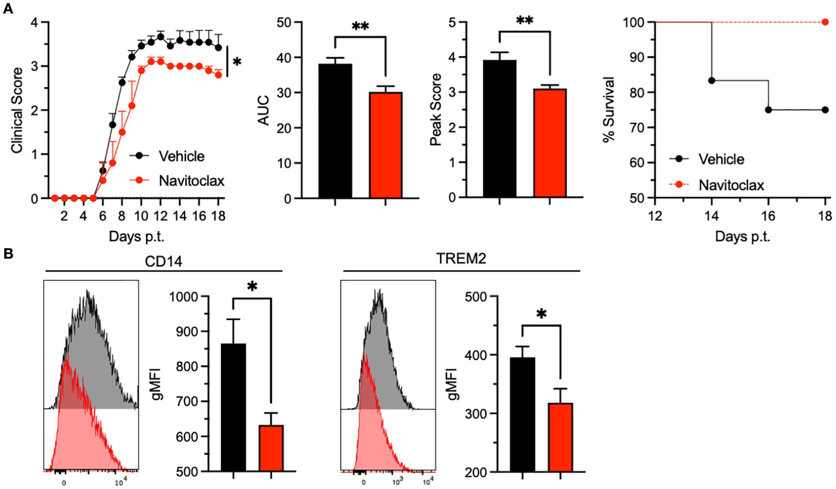 Graphs show the effects of Navitoclax and vehicle treatments. Panel A depicts: a line graph of clinical scores over time, bar graphs comparing AUC and peak scores, and a survival percentage graph, all indicating Navitoclax's significant impact. Panel B shows flow cytometry histograms and bar graphs for CD14 and TREM2 expressions, highlighting reduced geometric mean fluorescence intensity with Navitoclax. Statistically significant differences are marked by asterisks.