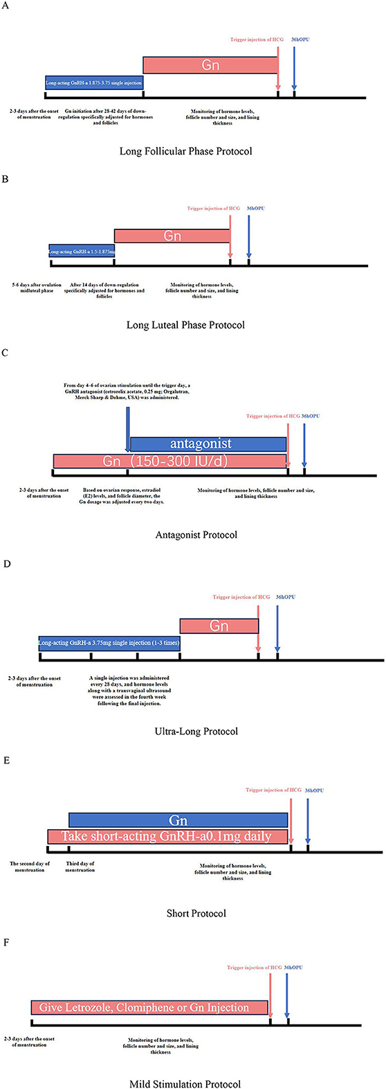 Infertility treatment protocols diagram with six charts labeled A to F: A) Long Follicular Phase Protocol, B) Long Luteal Phase Protocol, C) Antagonist Protocol, D) Ultra-Long Protocol, E) Short Protocol, F) Mild Stimulation Protocol. Each chart includes timelines of hormone injections and monitoring phases, with color-coded segments indicating different medications or steps such as GnRH injections, Gn, hCG trigger, and specific days of the menstrual cycle.