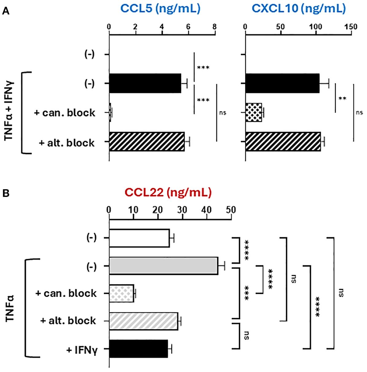 Bar graphs showing protein levels in ng/mL. Panel A displays CCL5 and CXCL10 levels with TNFα and IFNγ treatment, showcasing significant reductions with canonical but not alternative NF-kB blocking. Panel B shows CCL22 levels with TNFα treatment, indicating significant reductions with canonical and alternative NF-kB blocking, as well as IFNy. Statistical significance is marked as ns, **, ***, and ****.