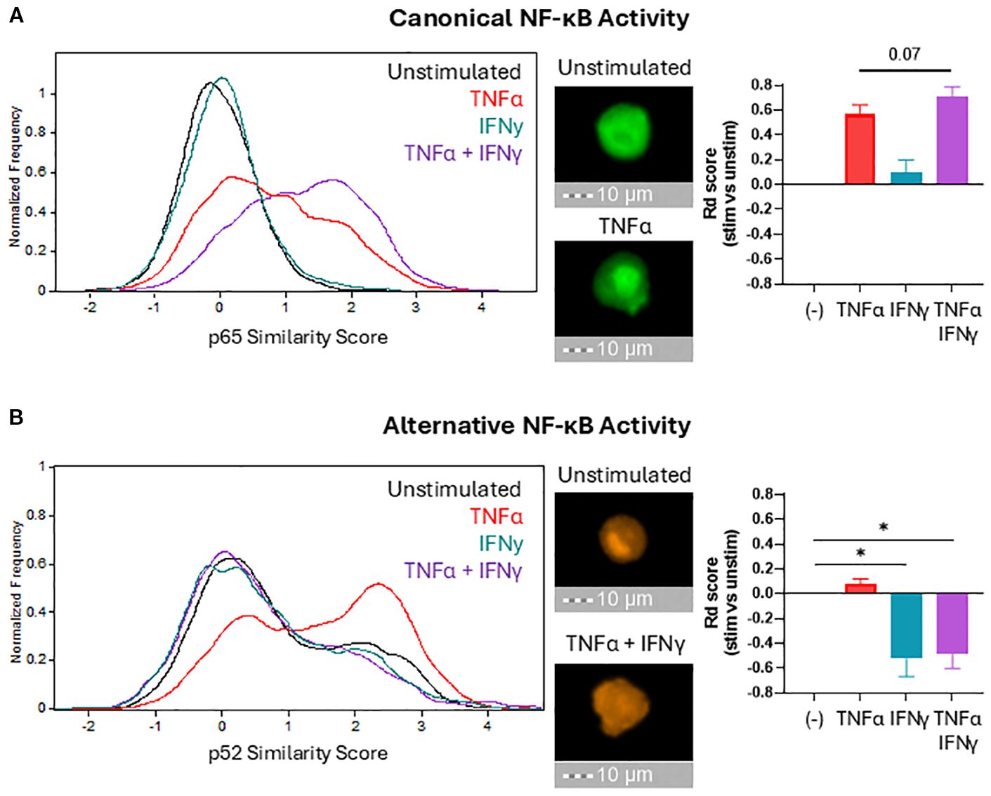 Graphs and images depict canonical and alternative NF-κB activation levels as determined by nuclear localization. Panel A shows p65 similarity scores with two immunofluorescent images demonstrating