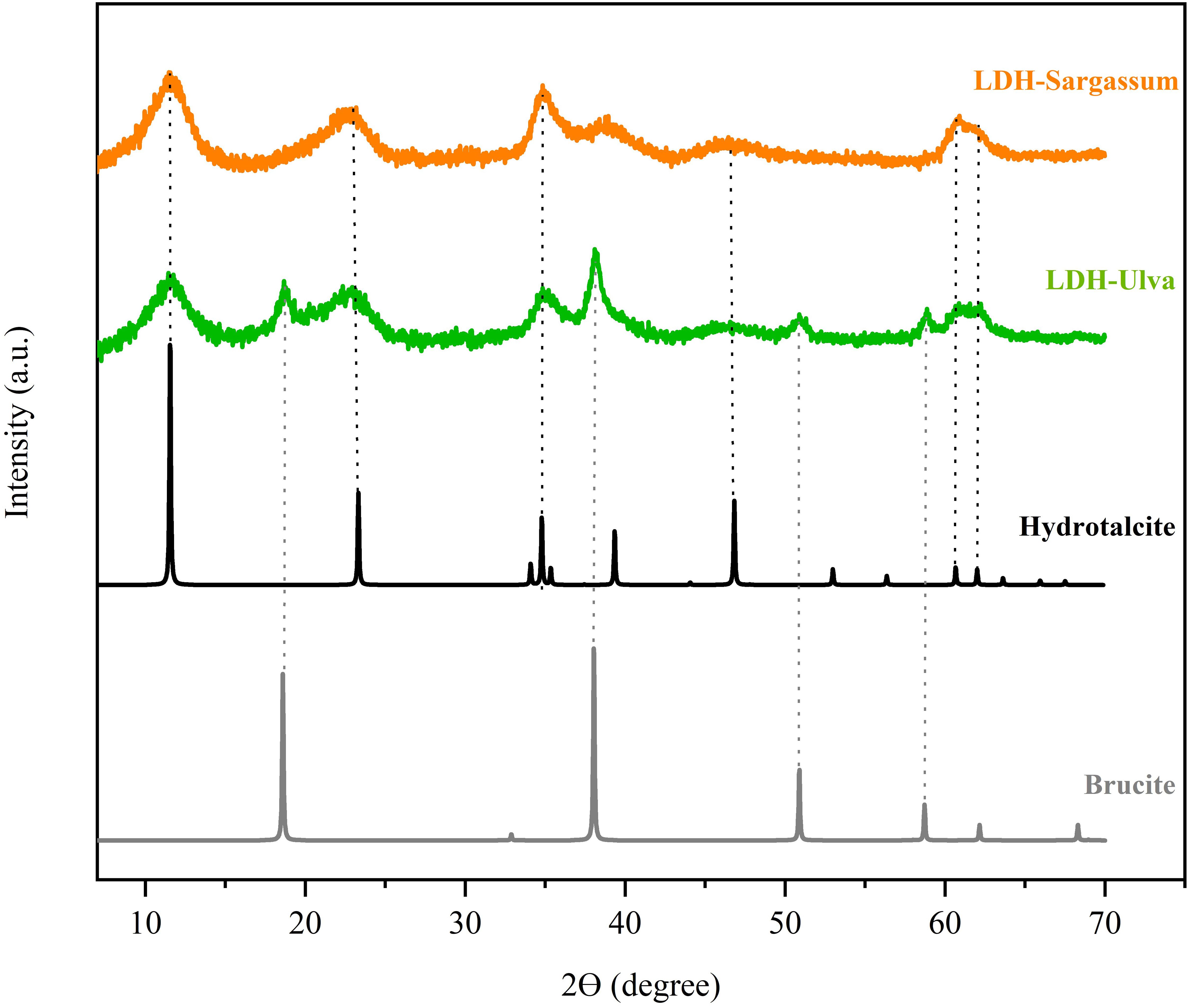 X-ray diffraction patterns show four distinct graphs: LDH-Sargassum (orange), LDH-Ulva (green), Hydrotalcite (black), and Brucite (gray), plotted against 2θ (degrees) on the x-axis and intensity (arbitrary units) on the y-axis. Each graph presents unique peaks indicating structural characteristics.