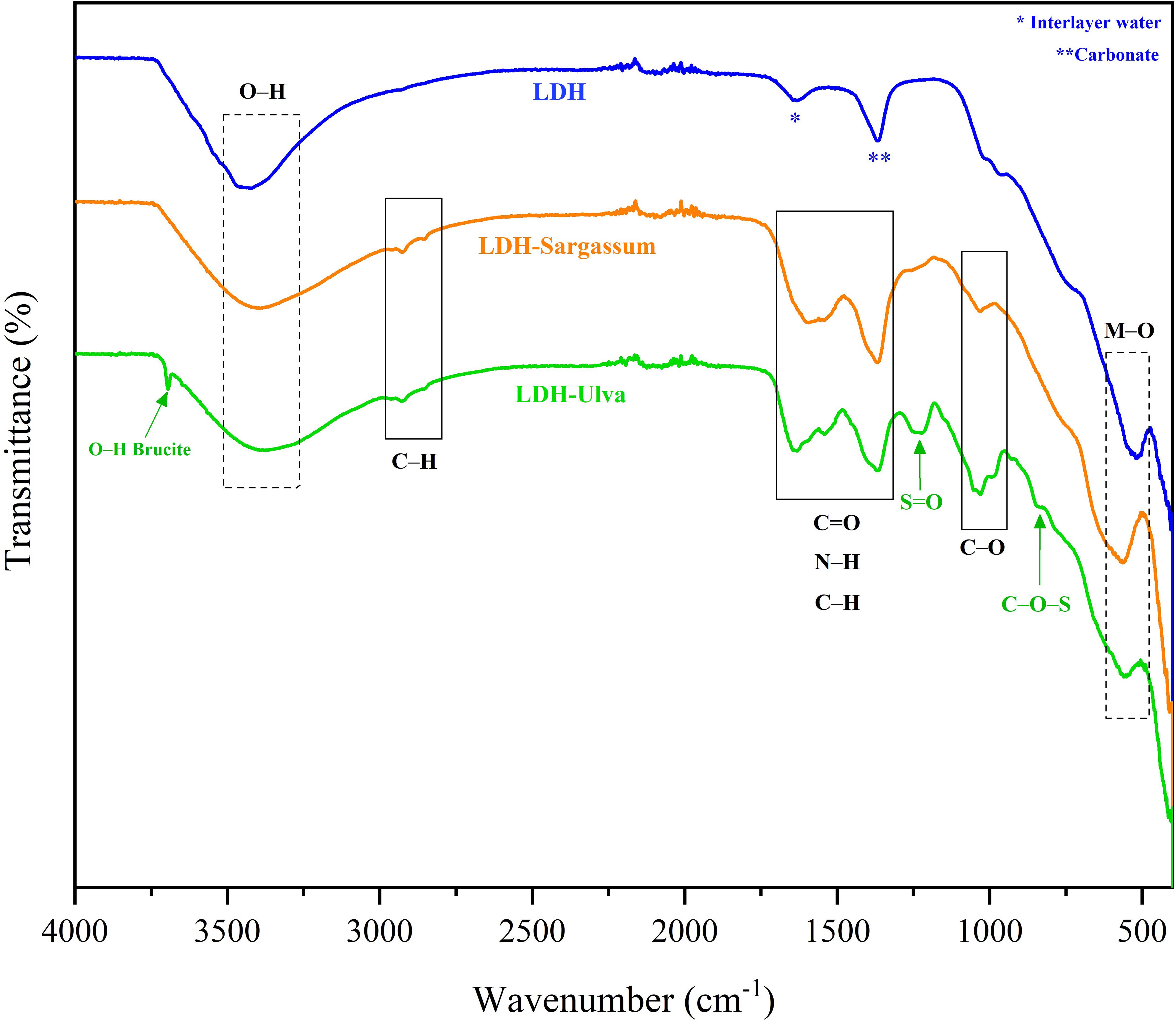 FTIR spectra graph showing transmittance versus wavenumber for LDH, LDH-Sargassum, and LDH-Ulva. Peaks are labeled for functional groups: O-H, C-H, C=O, N-H, S=O, C-O, and C-O-S. Additional notes indicate contributions from interlayer water and carbonate.