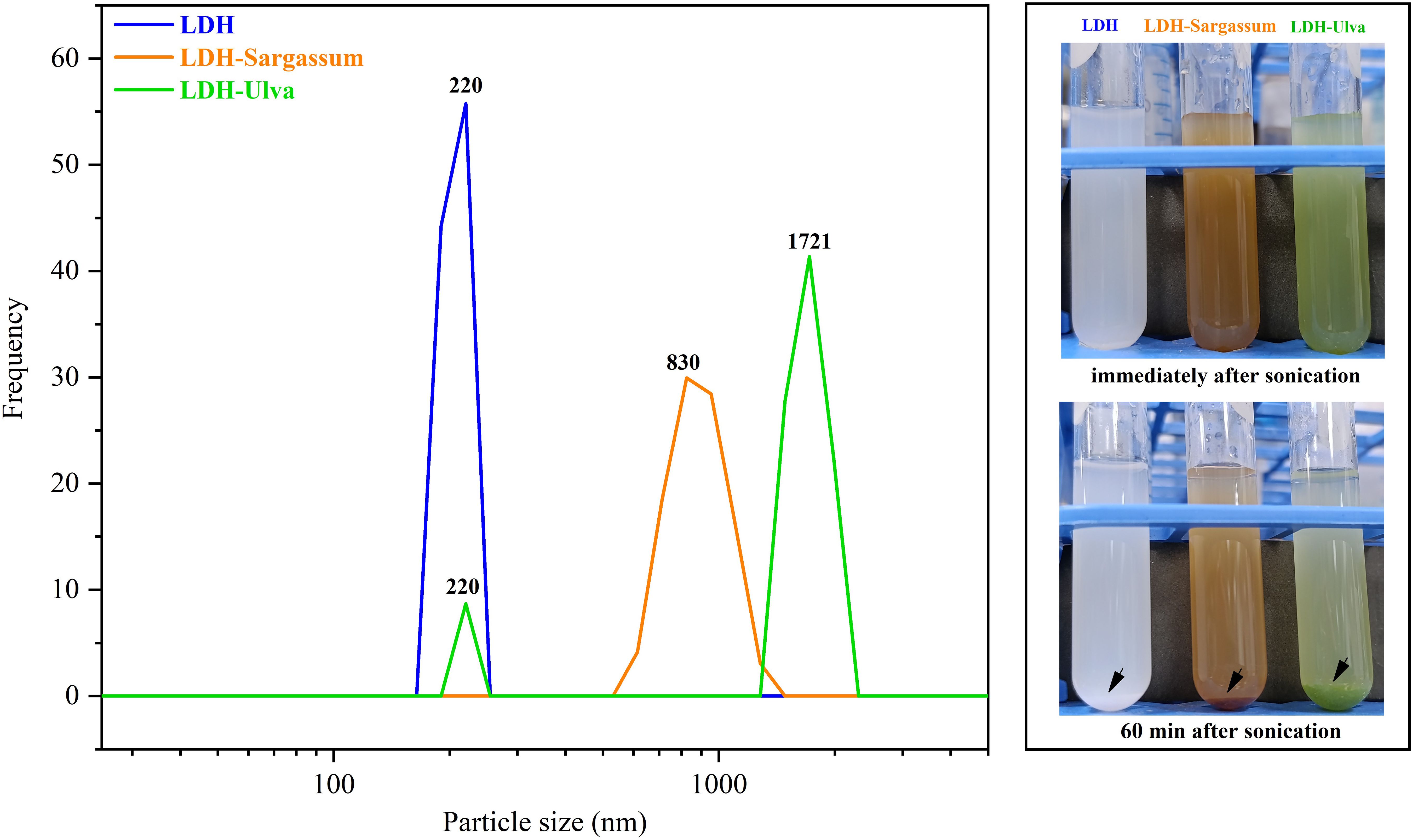Graph shows particle size distribution for LDH, LDH-Sargassum, and LDH-Ulva with peaks at 220 nm, 830 nm, and 1721 nm, respectively. Adjacent images show LDH, LDH-Sargassum, and LDH-Ulva in test tubes immediately and 60 minutes post-sonication, illustrating precipitation changes.