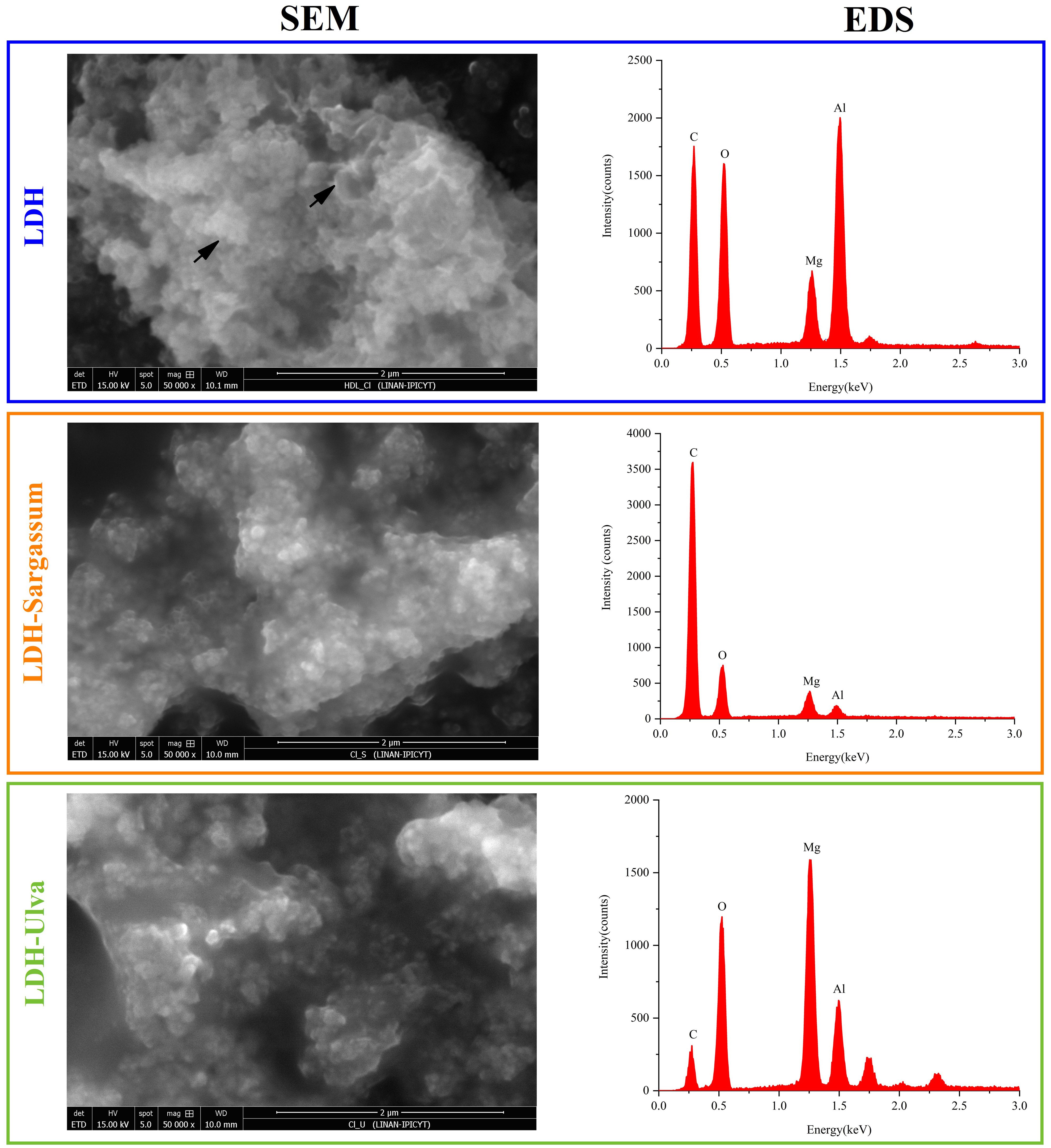 SEM and EDS images of three samples: LDH, LDH-Sargassum, and LDH-Ulva. Each includes a scanning electron microscopy image showing surface morphology and an energy dispersive spectroscopy graph displaying elemental peaks for carbon, oxygen, magnesium, and aluminum.