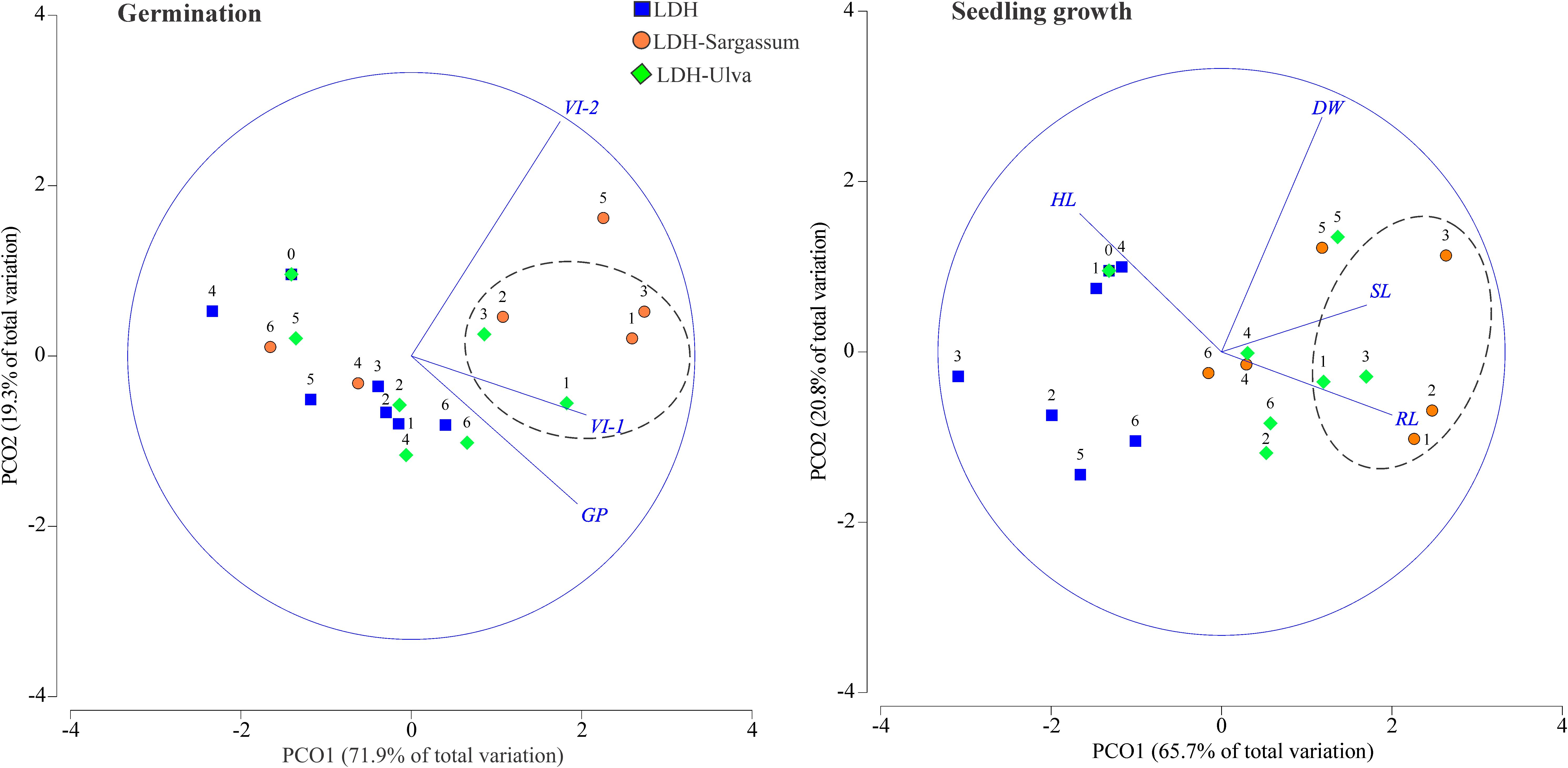 Two scatter plots compare germination and seedling growth. The left plot shows PCO1 (seventy-one point nine percent) and PCO2 (nineteen point three percent) of total variation. Blue squares (LDH), orange circles (LDH-Sargassum), and green diamonds (LDH-Ulva) represent different treatments. The right plot shows PCO1 (sixty-five point seven percent) and PCO2 (twenty point eight percent) with similar markers. Both plots include vectors labeled VI-2, VI-1, GP, HL, DW, SL, and RL indicating variable influence.