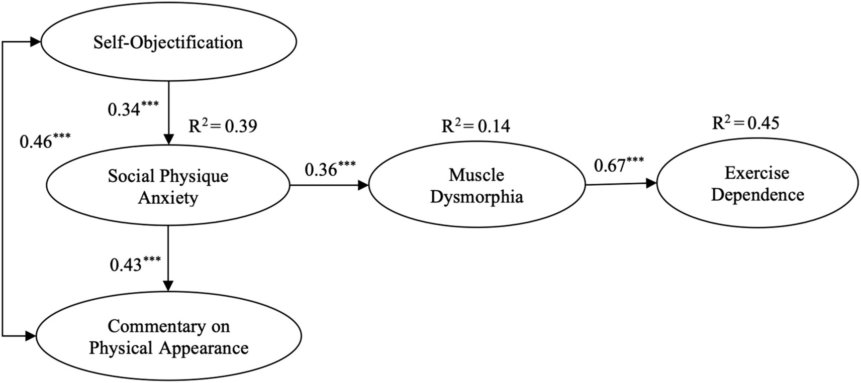 Path diagram illustrating the relationships among self-objectification, social physique anxiety, muscle dysmorphia, and exercise dependence. Arrows show directed paths with significant coefficients: self-objectification to social physique anxiety (0.34), social physique anxiety to muscle dysmorphia (0.36), and muscle dysmorphia to exercise dependence (0.67). Social physique anxiety also affects commentary on physical appearance (0.43) and is influenced by self-objectification (0.46). R-squared values indicate the variance explained: social physique anxiety (0.39), muscle dysmorphia (0.14), and exercise dependence (0.45).