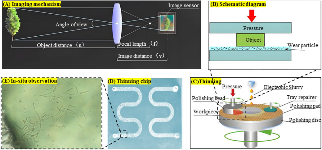 Diagram with five labeled sections: (A) Imaging mechanism showing object and image distances with a lens and image sensor. (B) Schematic diagram illustrating pressure applied on an object with wear particles. (C) Thinning process featuring a polishing head, slurry, polishing pad, and disc. (D) Thinning chip with a serpentine pattern. (E) In-situ observation showing microscopic structures.