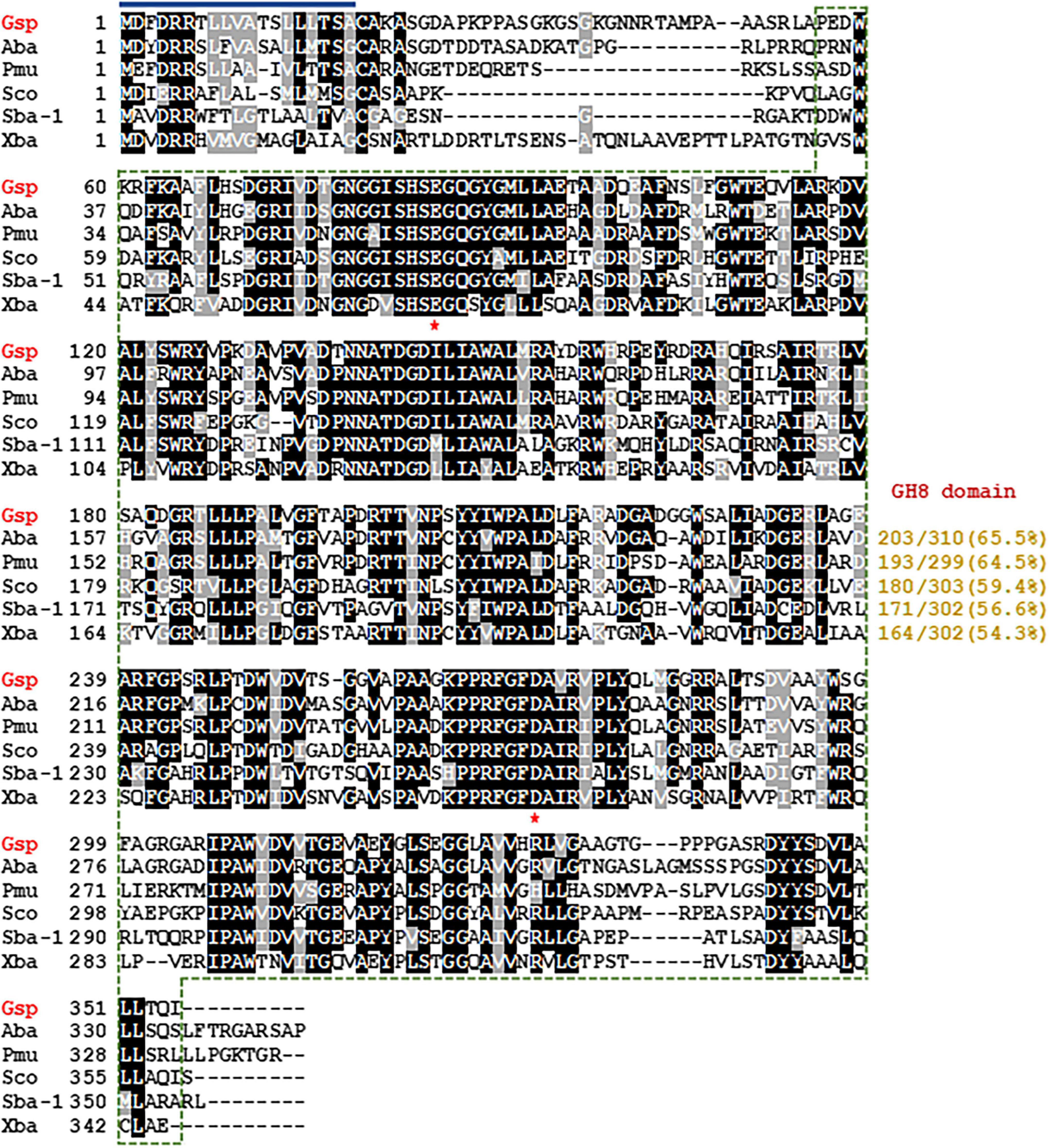 A sequence alignment of six proteins: Gsp, Aba, Pmu, Sco, Sba-1, and Xba. The alignment highlights conserved regions with color coding and includes annotations for GH8 domains. Percent identities are listed on the right side, varying from 54.3% to 65.5%.