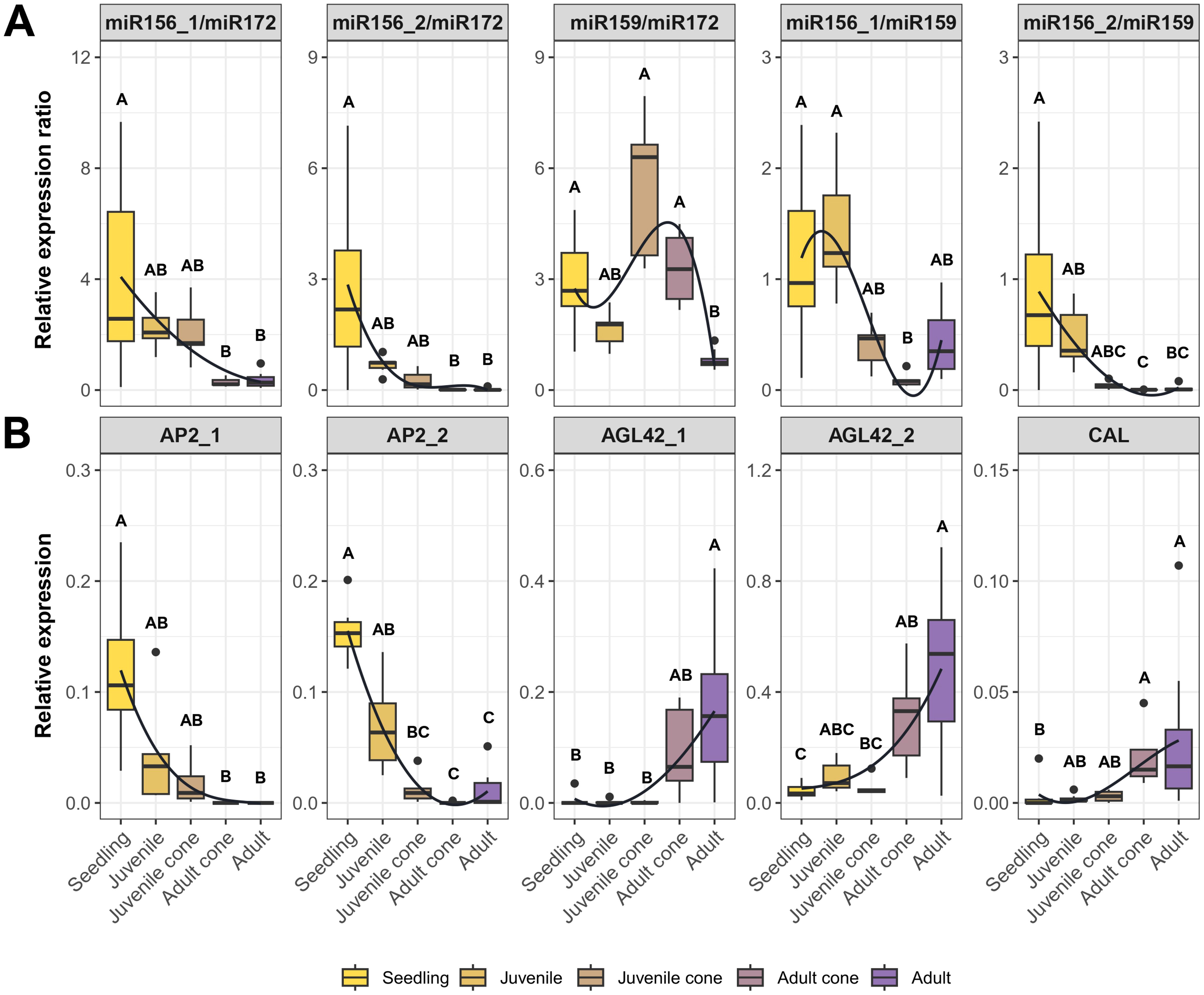 Box plots showing relative expression ratios of miRNAs and mRNAs in plant developmental stages: seedling, juvenile, juvenile cone, adult cone, and adult. Panel A presents miRNA ratios, and Panel B shows mRNA expression. Stages are marked with distinct letters indicating significant differences. Color coding is used for different stages. A trend line indicates expression changes across stages.