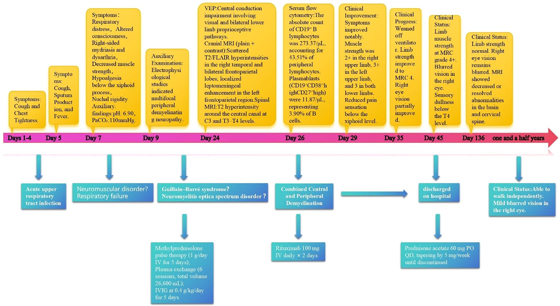 Timeline of a patient's medical progression over one and a half years. Initial symptoms include respiratory distress and altered consciousness, leading to varied diagnoses and treatments such as pulse therapy, plasma exchange, and Rituximab. Improvement noted in muscle strength and vision over time, with clinical status normalizing by the end, though mild blurred vision remains.