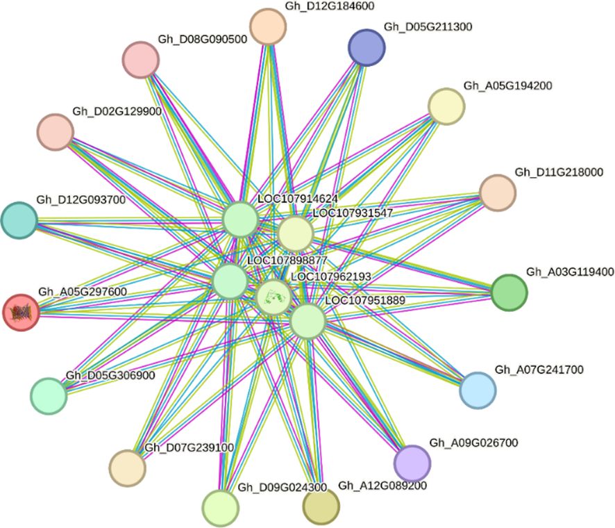 Network diagram showing interactions among various genes, represented as labeled circles, with lines connecting them to indicate relationships. Central nodes LOC107914624, LOC107931547, LOC10789887, LOC107962193, and LOC107951889 are prominently connected to others. Different colors are used for nodes and lines, implying diverse types of interactions or classifications.