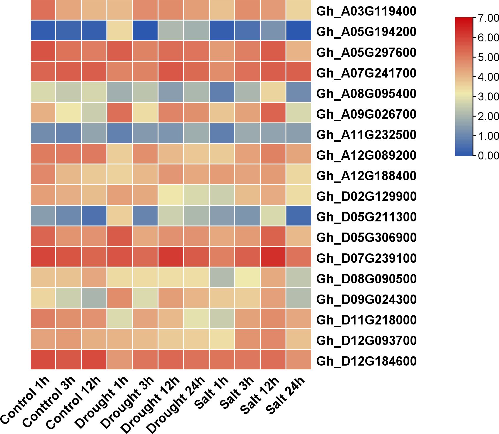 Heatmap illustrating gene expression levels under different conditions: control, drought, and salt, observed at intervals of one hour, three hours, twelve hours, and twenty-four hours. Genes are listed vertically on the right, with expression levels indicated by a color scale from blue (low) to red (high).