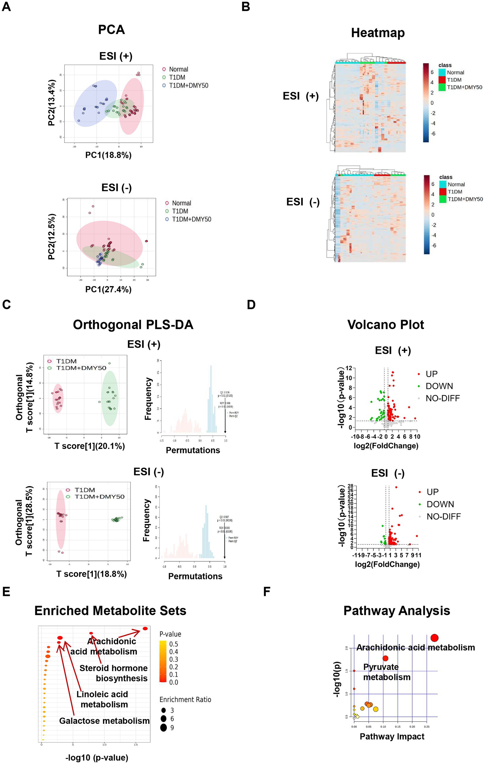 Panel A shows PCA plots for ESI positive and negative, displaying data clustering for normal, T1DM, and T1DM+DMY50 groups. Panel B contains heatmaps illustrating differential expression for these groups in ESI positive and negative modes. Panel C presents Orthogonal PLS-DA plots with permutation tests for ESI positive and negative, showing group separation. Panel D includes volcano plots highlighting significant differentially expressed metabolites with ESI positive and negative modes. Panel E is a scatter plot of enriched metabolite sets with significance and enrichment ratio. Panel F displays pathway analysis, indicating the impact of arachidonic acid and pyruvate metabolism.