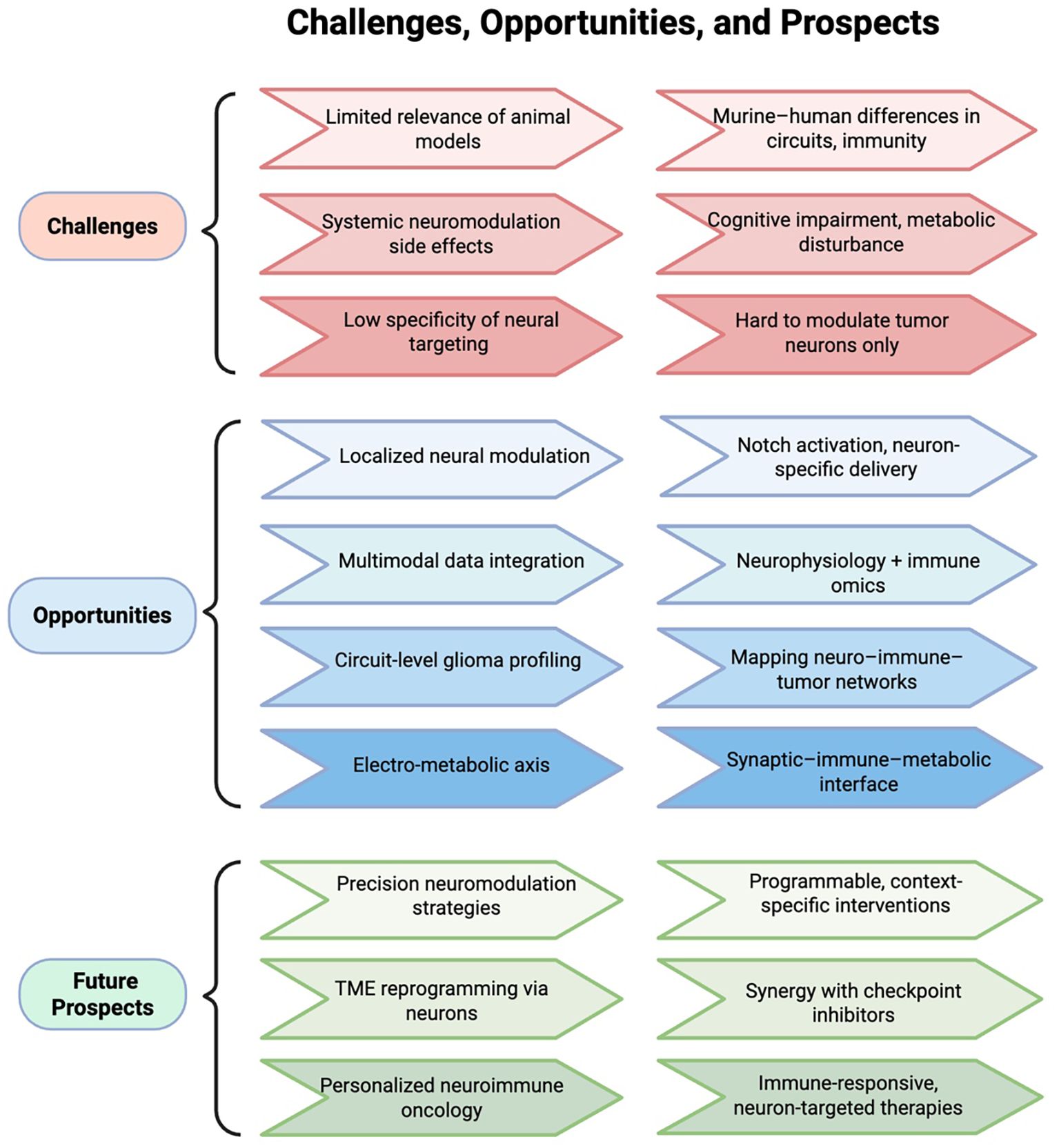 Flowchart titled “Challenges, Opportunities, and Prospects” divided into three sections. Challenges include limited relevance of animal models, side effects, low specificity, and difficulty in modulating tumor neurons. Opportunities highlight localized modulation, multimodal integration, glioma profiling, and electro-metabolic axis. Future Prospects envision precision strategies, tumor microenvironment reprogramming via neurons, and personalized oncology. Each section pairs concepts, indicating potential solutions or developments in neuromodulation and oncology.