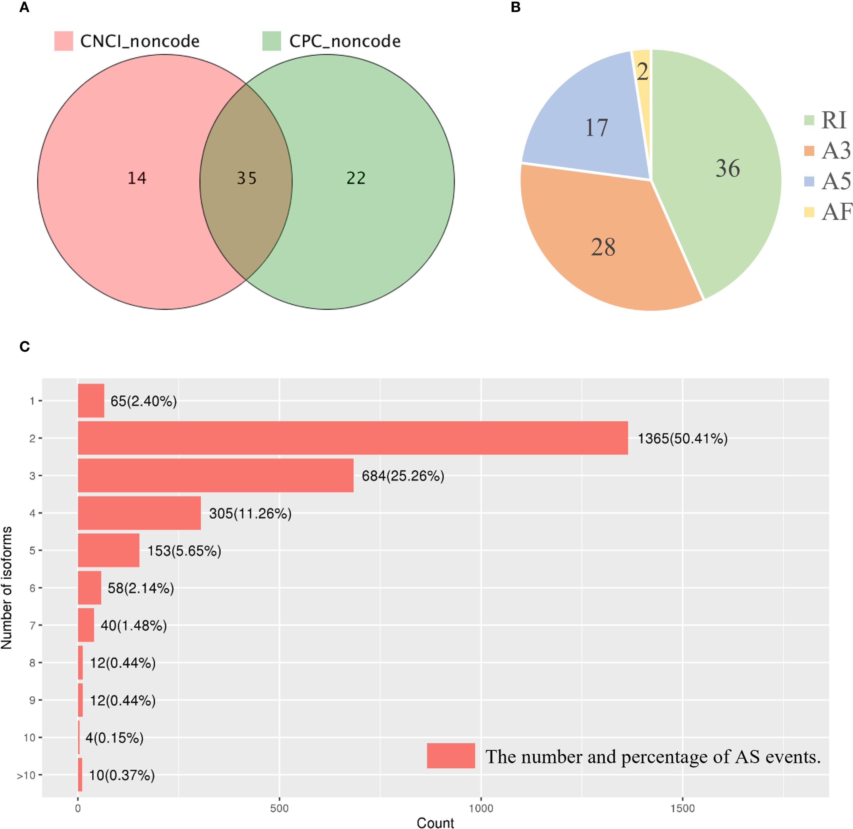 Panel A presents a Venn diagram showing overlap between CNCI_noncode and CPC_noncode groups with 14, 22, and 35 unique elements. Panel B is a pie chart displaying the distribution of RI, A3, A5, and AF categories with values 36, 28, 17, and 2, respectively. Panel C is a bar chart illustrating the count and percentage of AS events across various isoform numbers, with the highest frequency in isoform 2, accounting for 50.41%.