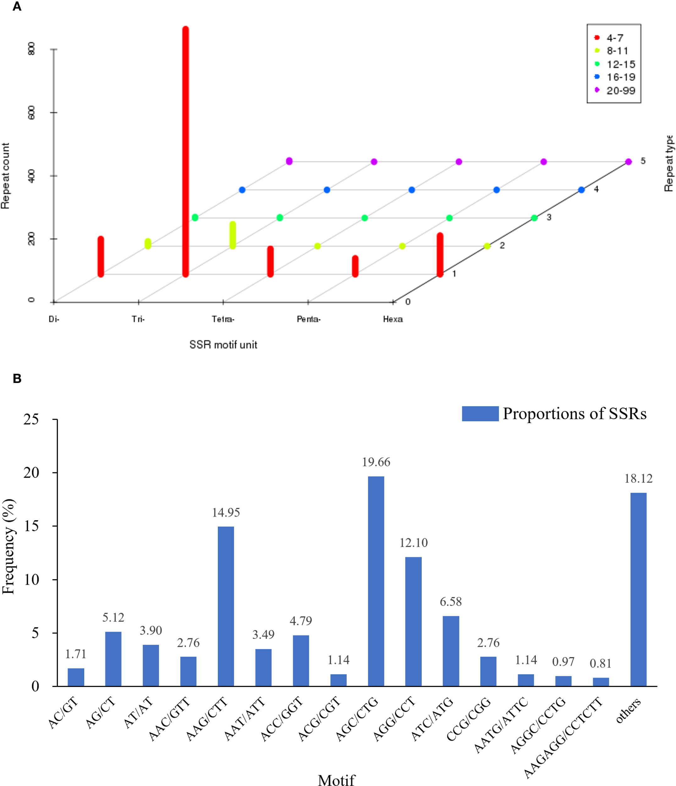 Graph A is a 3D bar chart displaying SSR motif unit repeat counts by repeat type. Color-coded bars show counts for di-, tri-, tetra-, penta-, and hexa-nucleotides across repeat types. Graph B is a vertical bar chart illustrating SSR motif frequency percentages. Each bar represents a different motif, with AGC/CTG showing the highest frequency at 19.66 percent, followed by others at 18.12 percent.