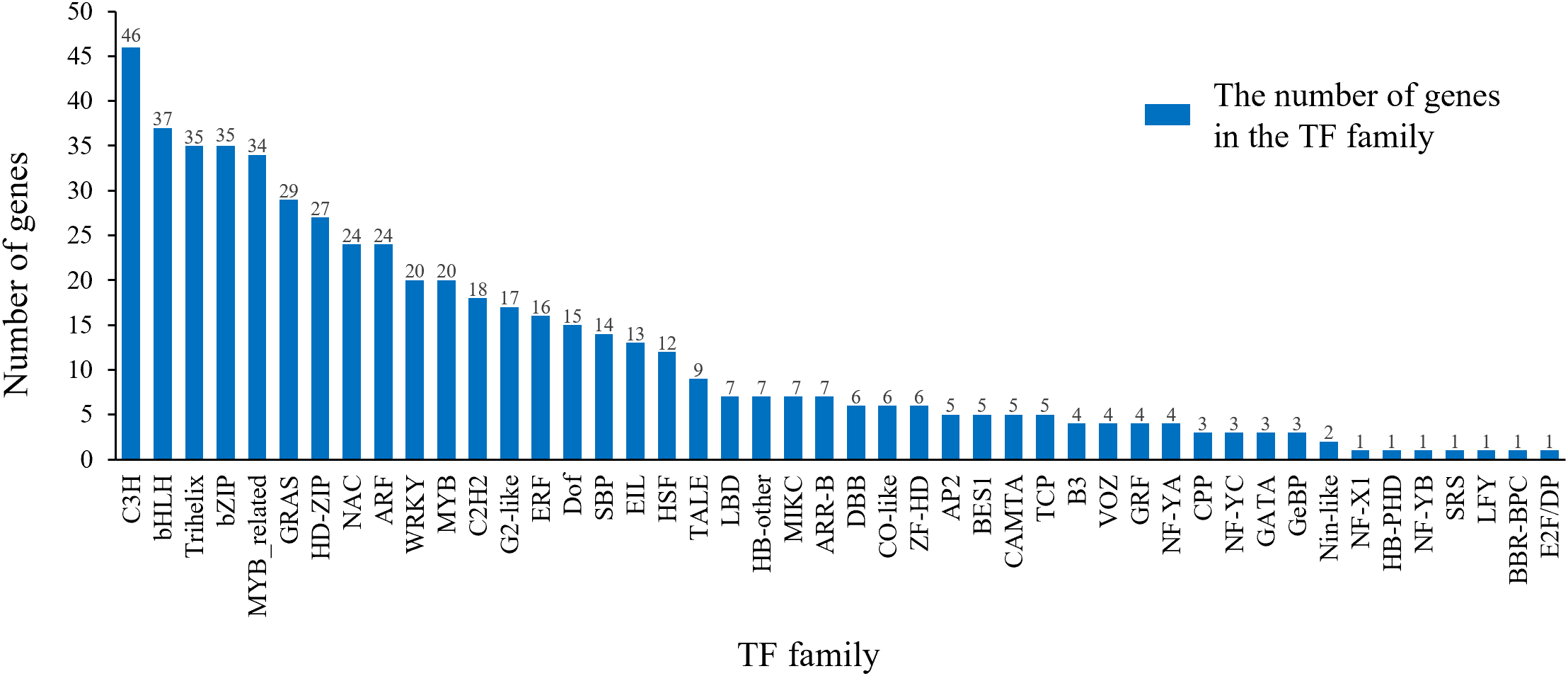 Bar chart displaying the number of genes across various transcription factor (TF) families. C3H has the highest number at forty-six, followed by bHLH with thirty-seven. The chart highlights differences among TF categories, with several families like LFY, SRS, BBR-BPC, and E2F/DP having the lowest count at one gene each.